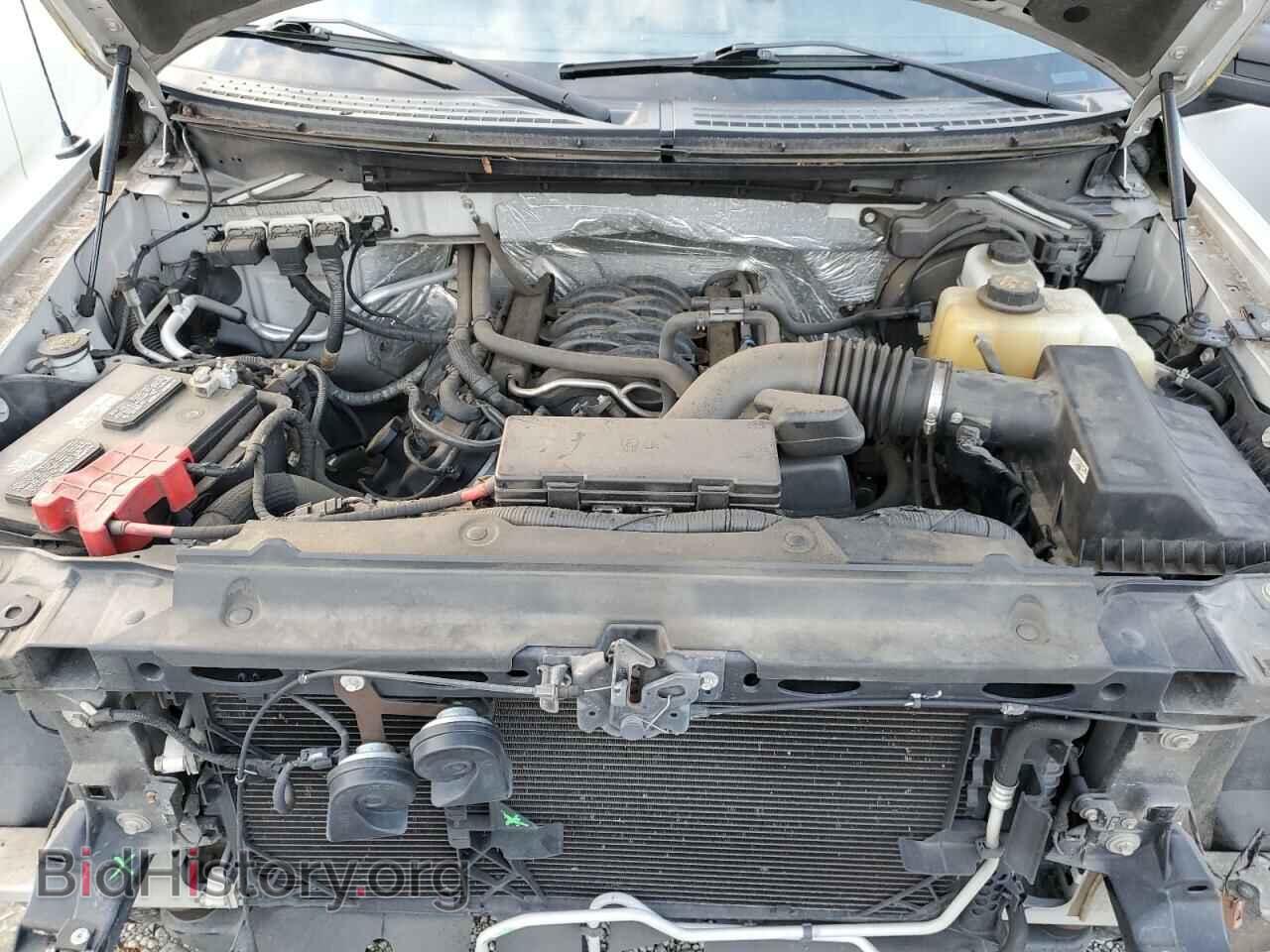 2013 FORD F-150 - VIN: 1FTFX1EF3DFD12339 - Фото 11