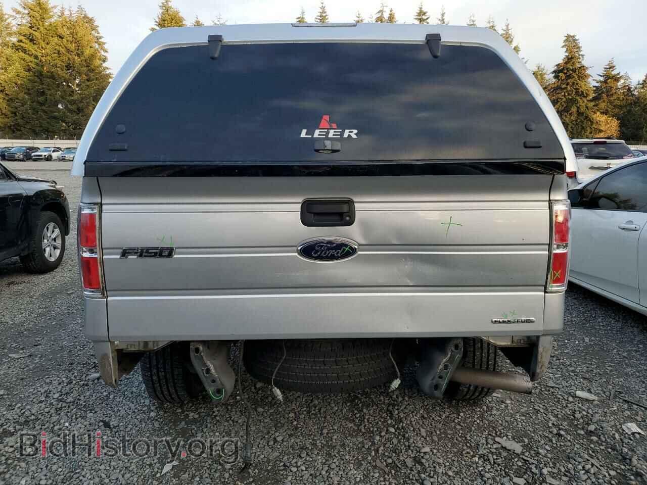 2013 FORD F-150 - VIN: 1FTFX1EF3DFD12339 - Фото 6