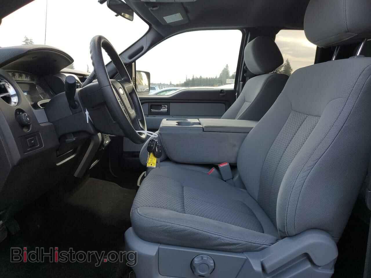 2013 FORD F-150 - VIN: 1FTFX1EF3DFD12339 - Фото 7