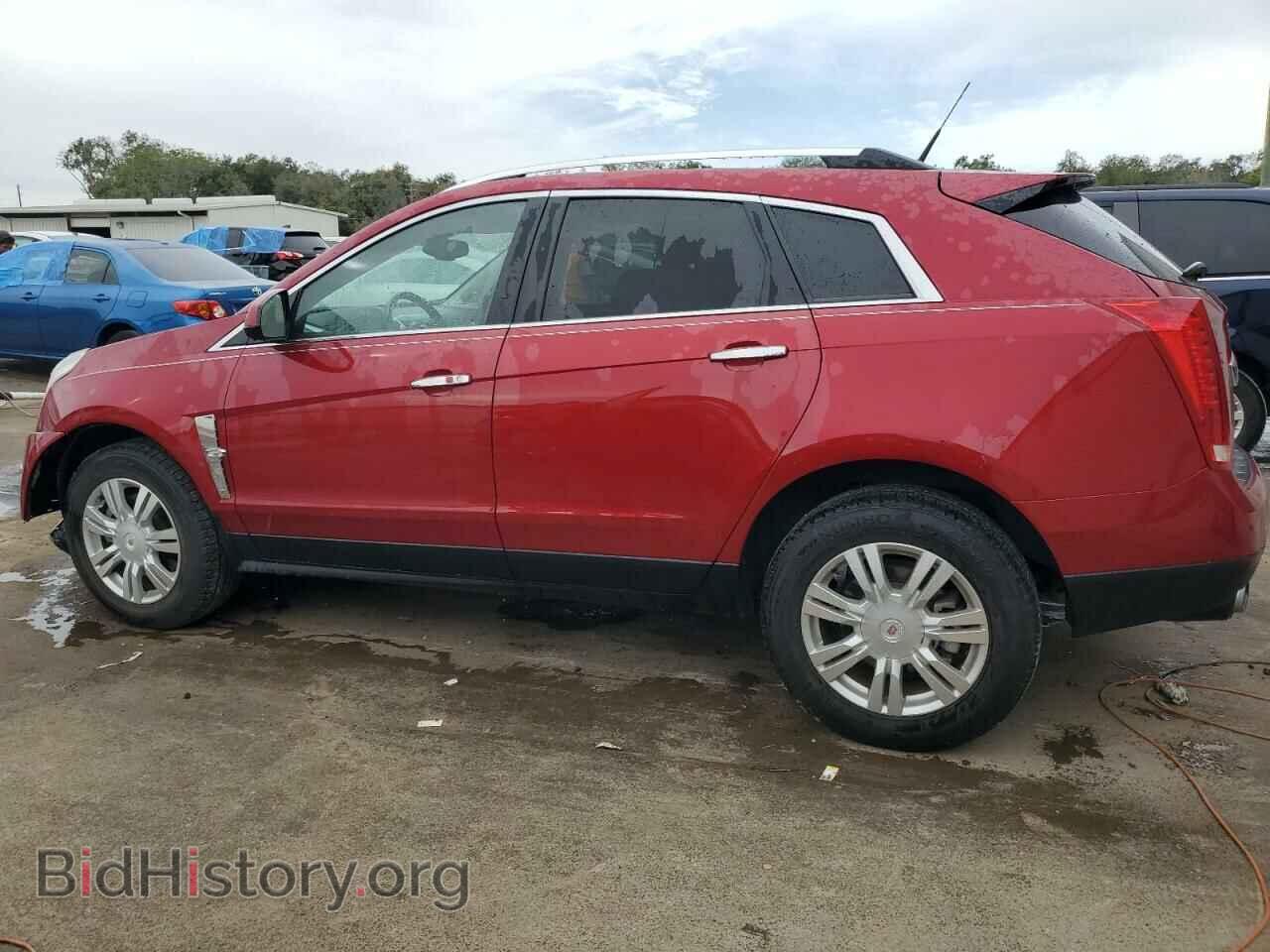 2011 CADILLAC SRX - VIN: 3GYFNAEY7BS515874 - Фото 2
