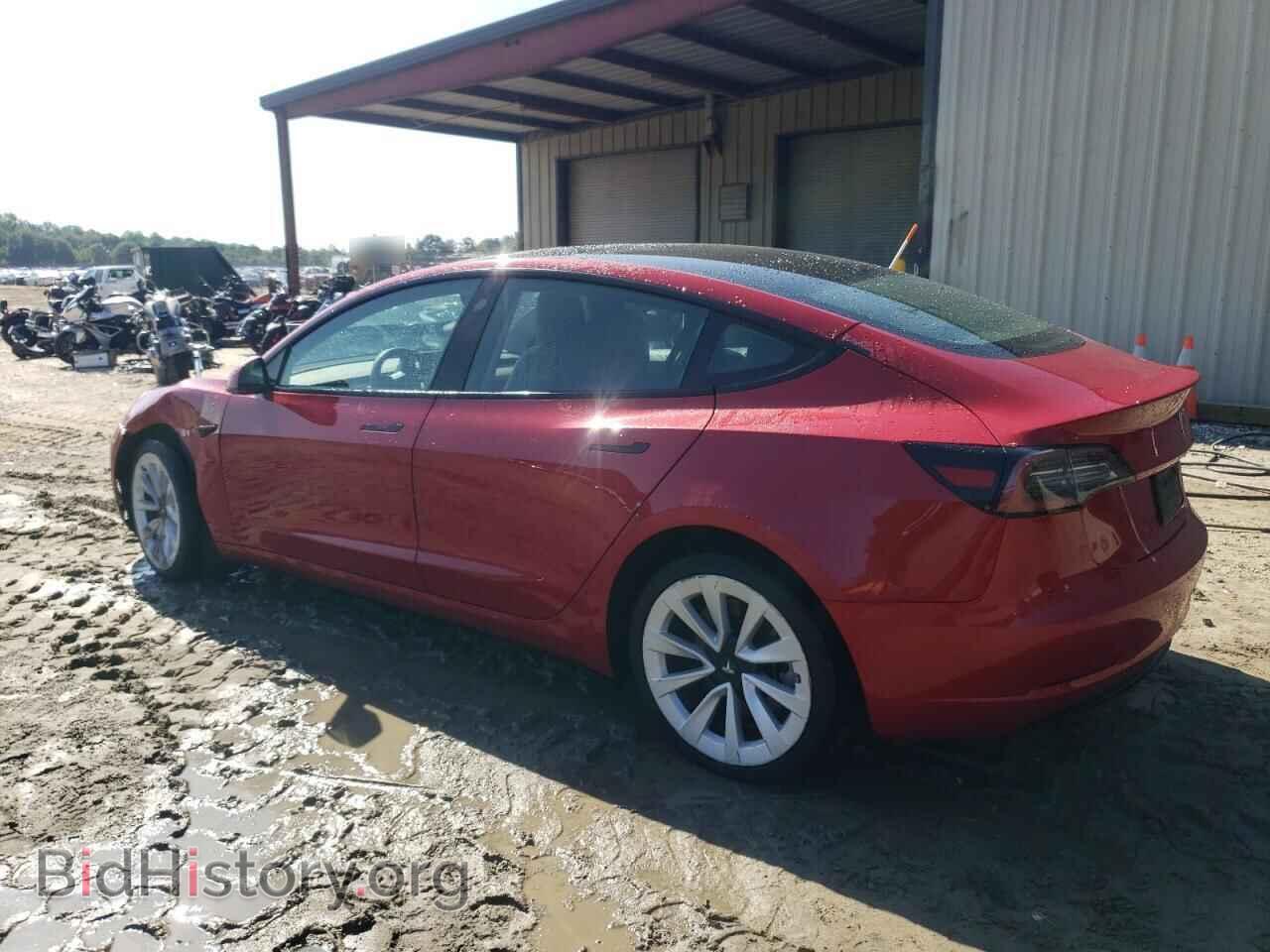 2023 TESLA MODEL 3 - VIN: 5YJ3E1EA2PF449343 - Photo 2