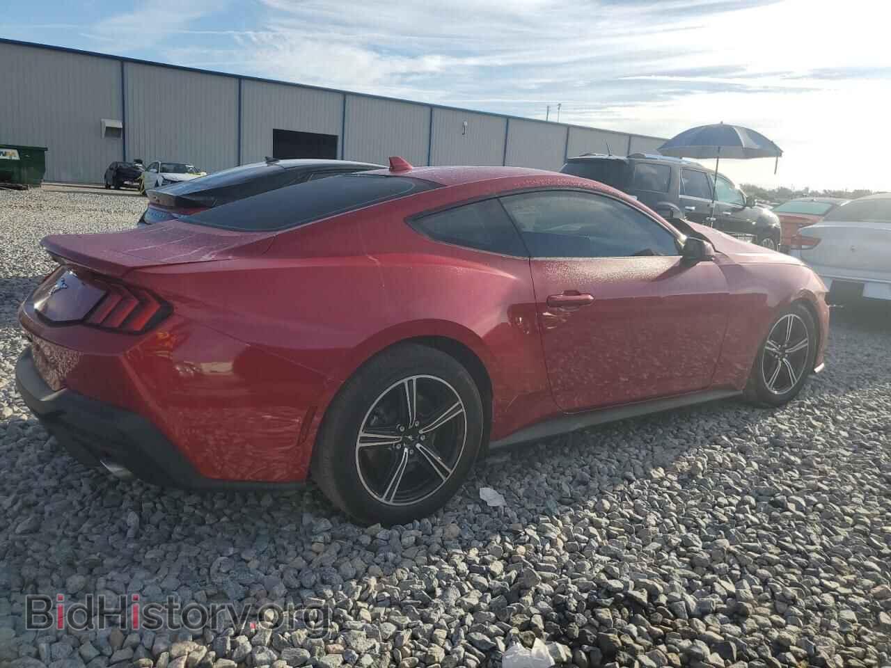2024 FORD ALL Models - VIN: 1FA6P8TH8R5111133 - Фото 3