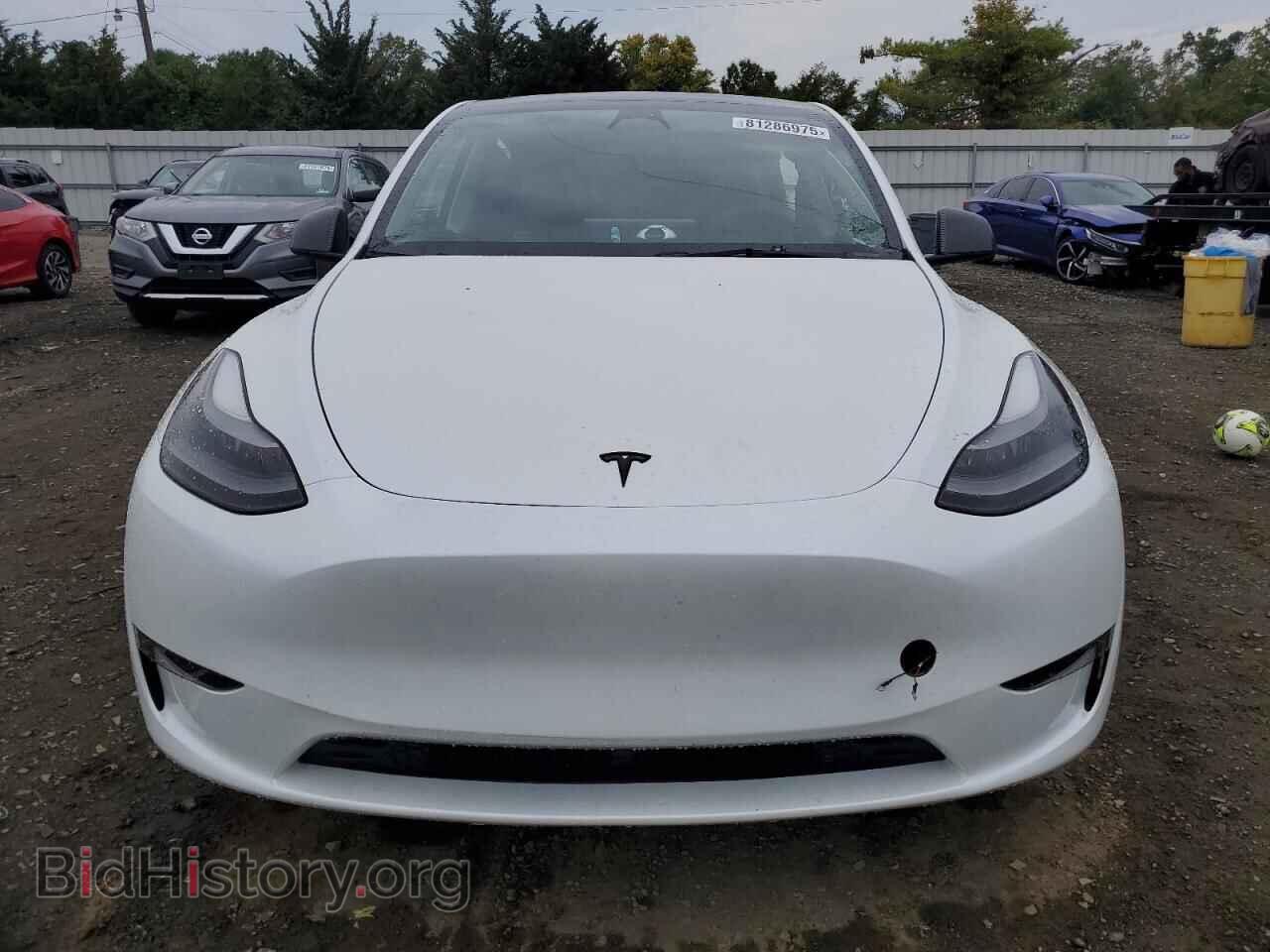 2023 TESLA MODEL Y - VIN: 7SAYGDEE0PF662251 - Фото 5