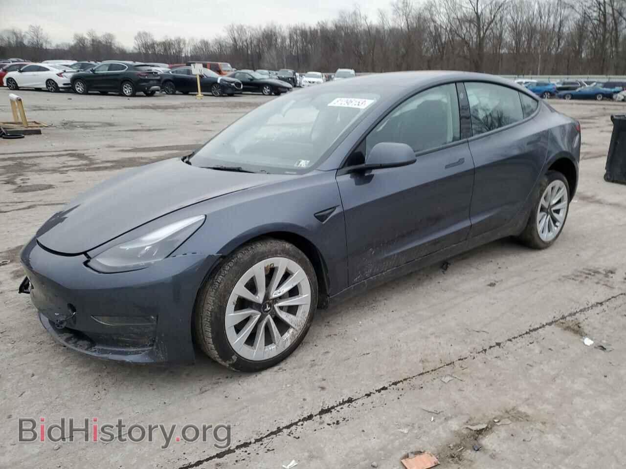 Photo 5YJ3E1EB6PF390676 - TESLA MODEL 3 2023