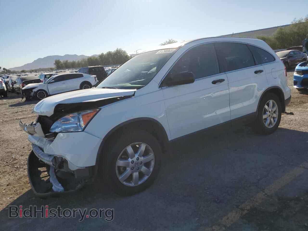 Photo JHLRE38588C046019 - HONDA CRV 2008