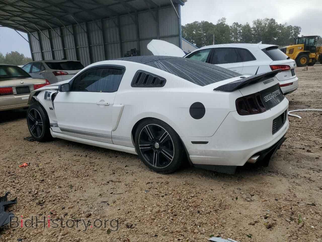 2013 FORD MUSTANG - VIN: 1ZVBP8CF8D5230989 - Фото 2