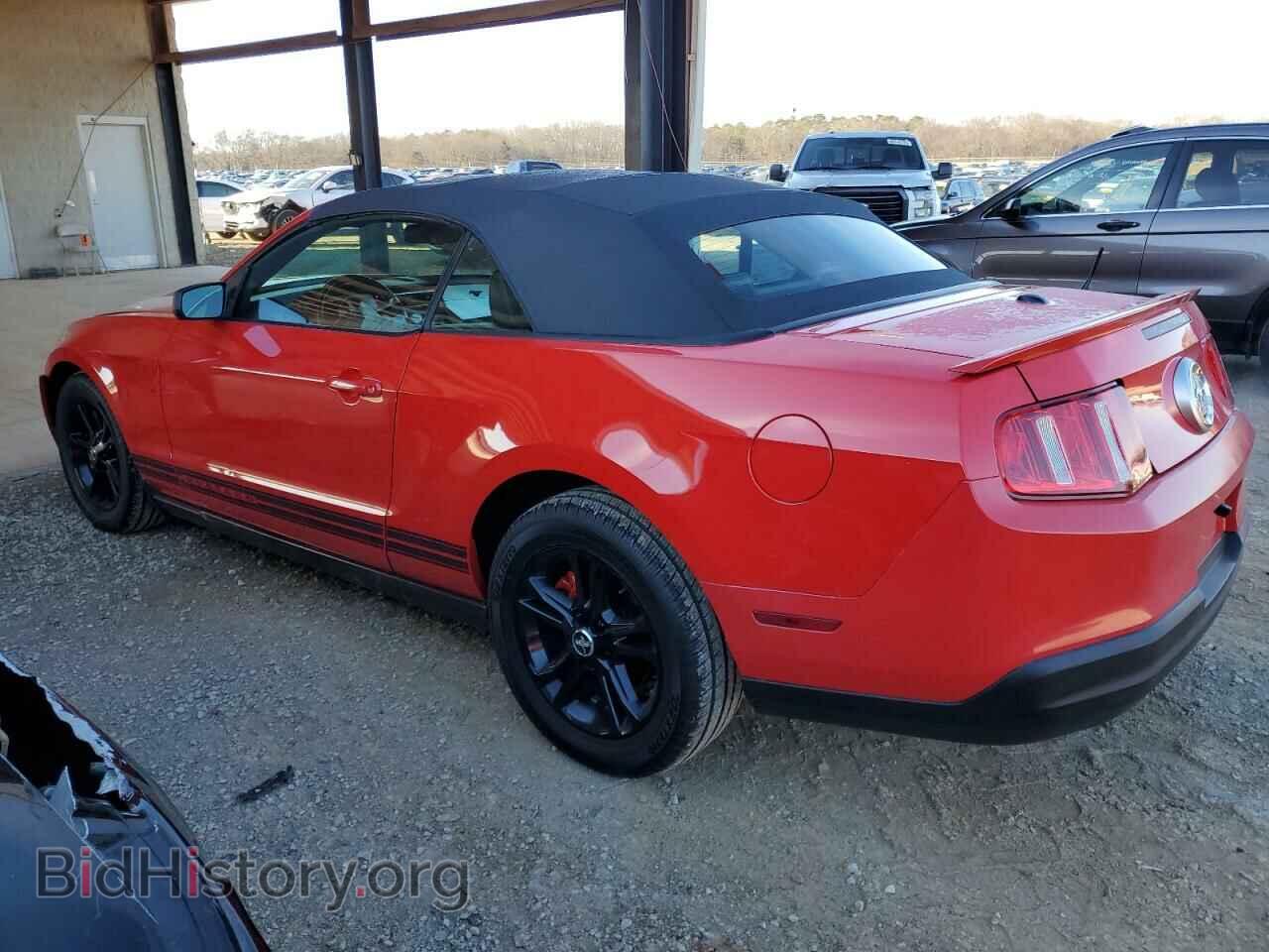 2010 FORD ALL Models - VIN: 1ZVBP8EN2A5167999 - Фото 2