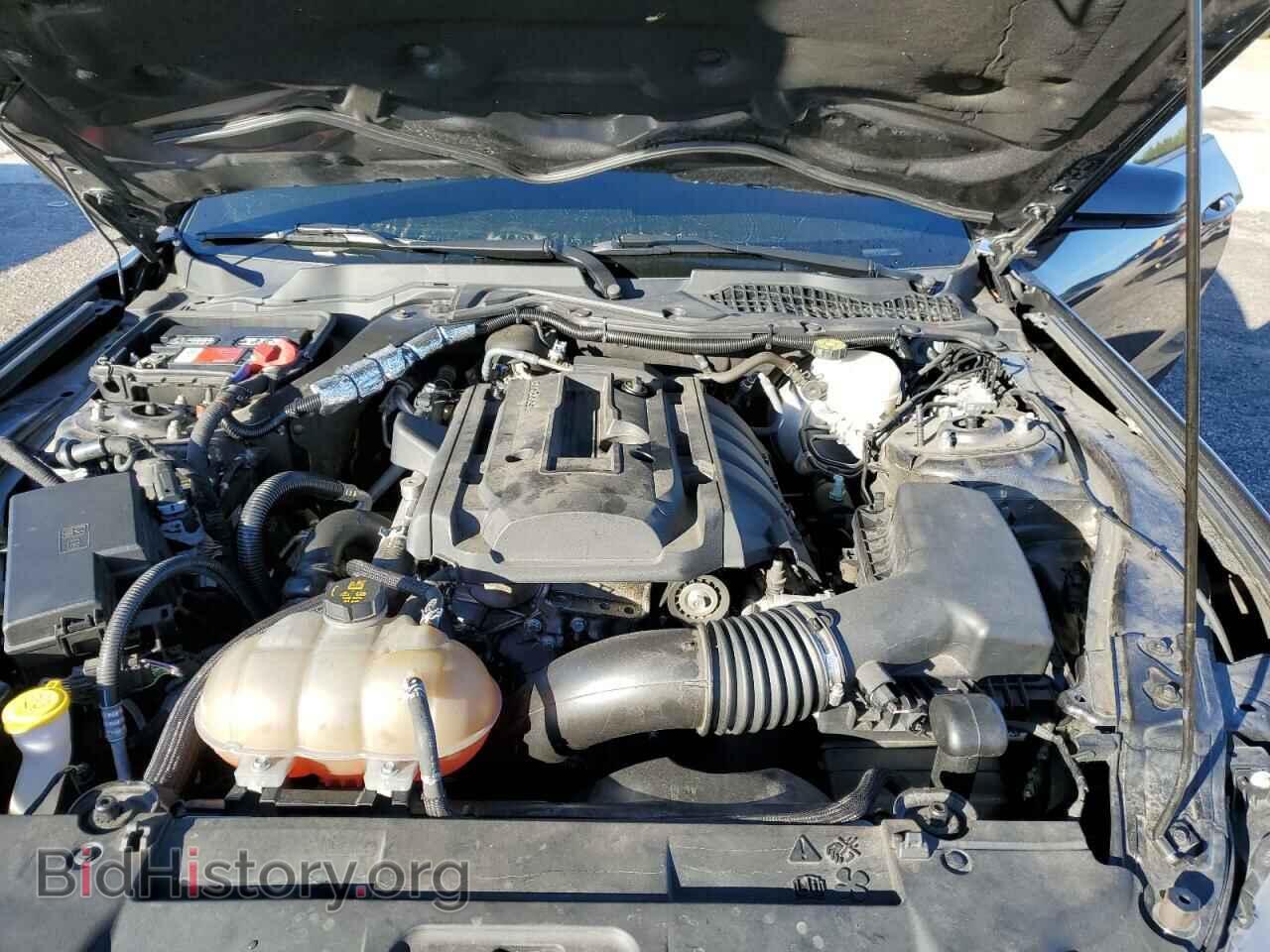 2019 FORD ALL Models - VIN: 1FA6P8TH7K5105474 - Photo 11