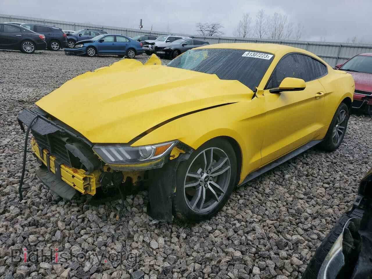 Фотография 1FA6P8TH9G5292529 - FORD ALL Models 2016