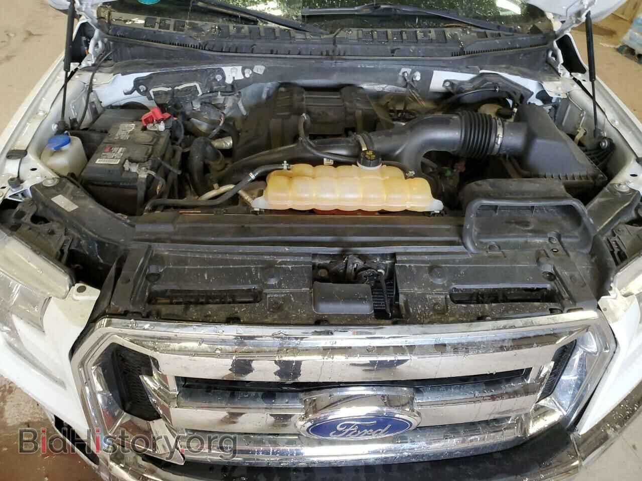 2017 FORD F-150 - VIN: 1FTEW1EP1HFB84387 - Фото 11