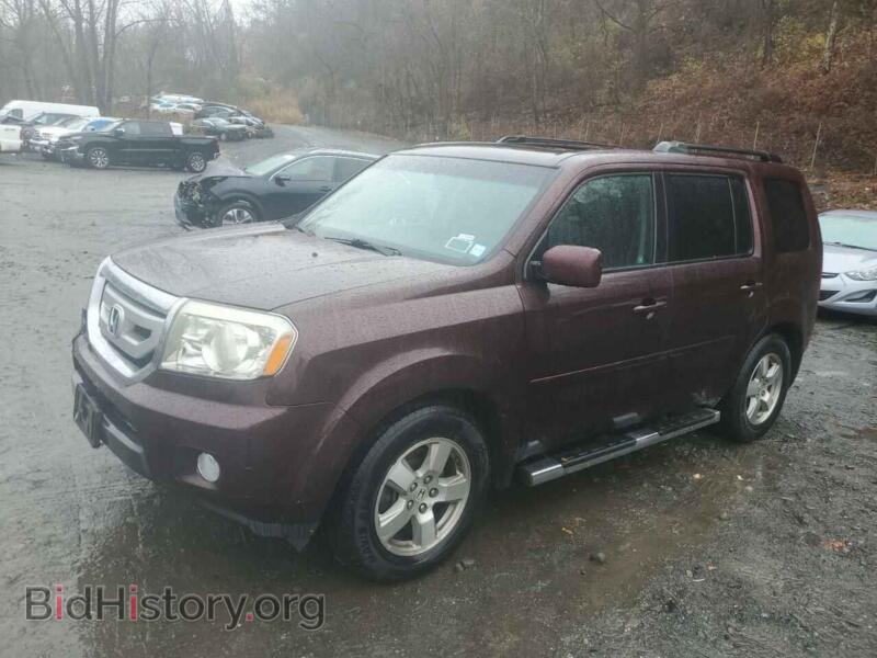 2009 Honda PILOT EXL (VIN 5FNYF38559B001405) — фото 1 из 13, Copart, повреждение: передняя часть