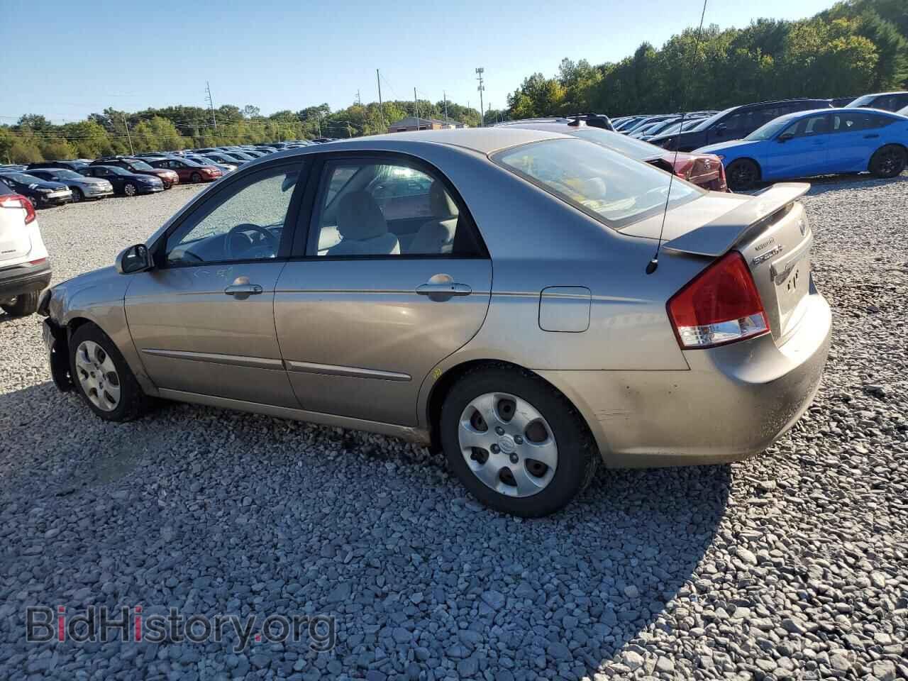 2008 KIA SPECTRA - VIN: KNAFE122085558426 - Фото 2
