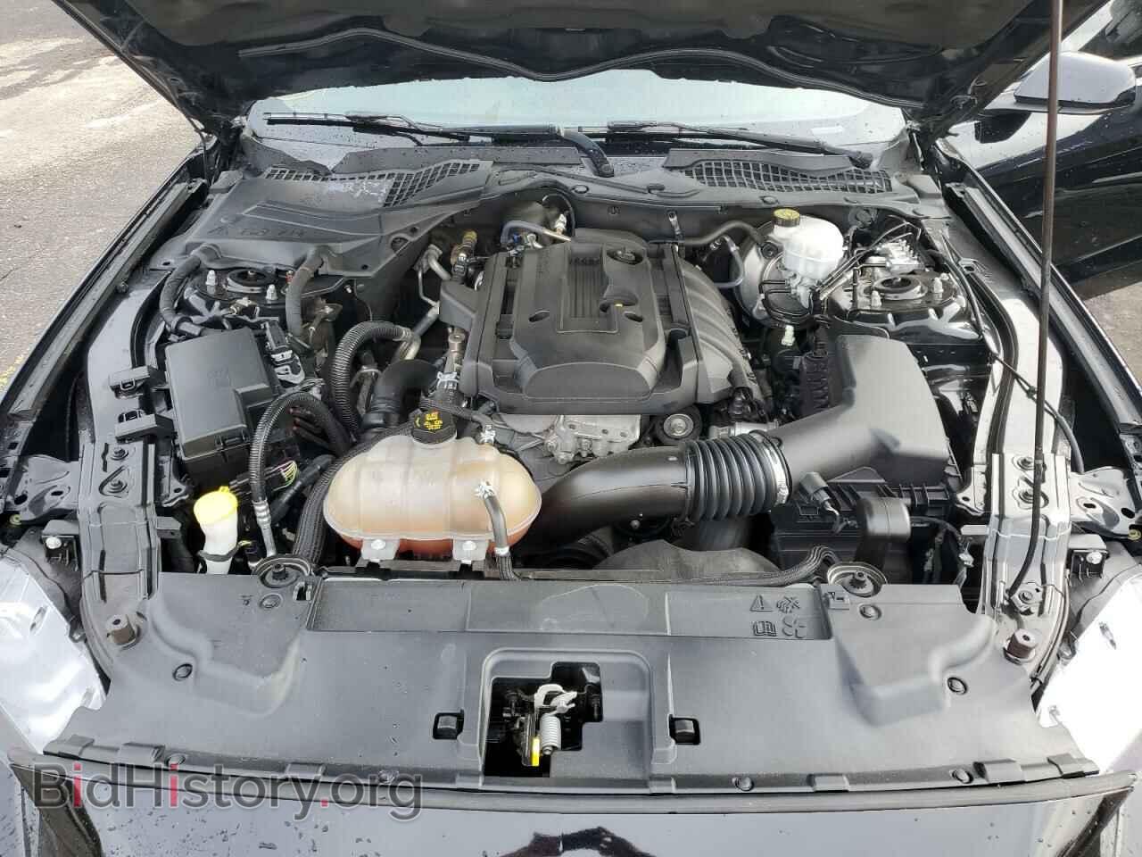 2019 FORD ALL Models - VIN: 1FA6P8TH5K5157332 - Фото 11