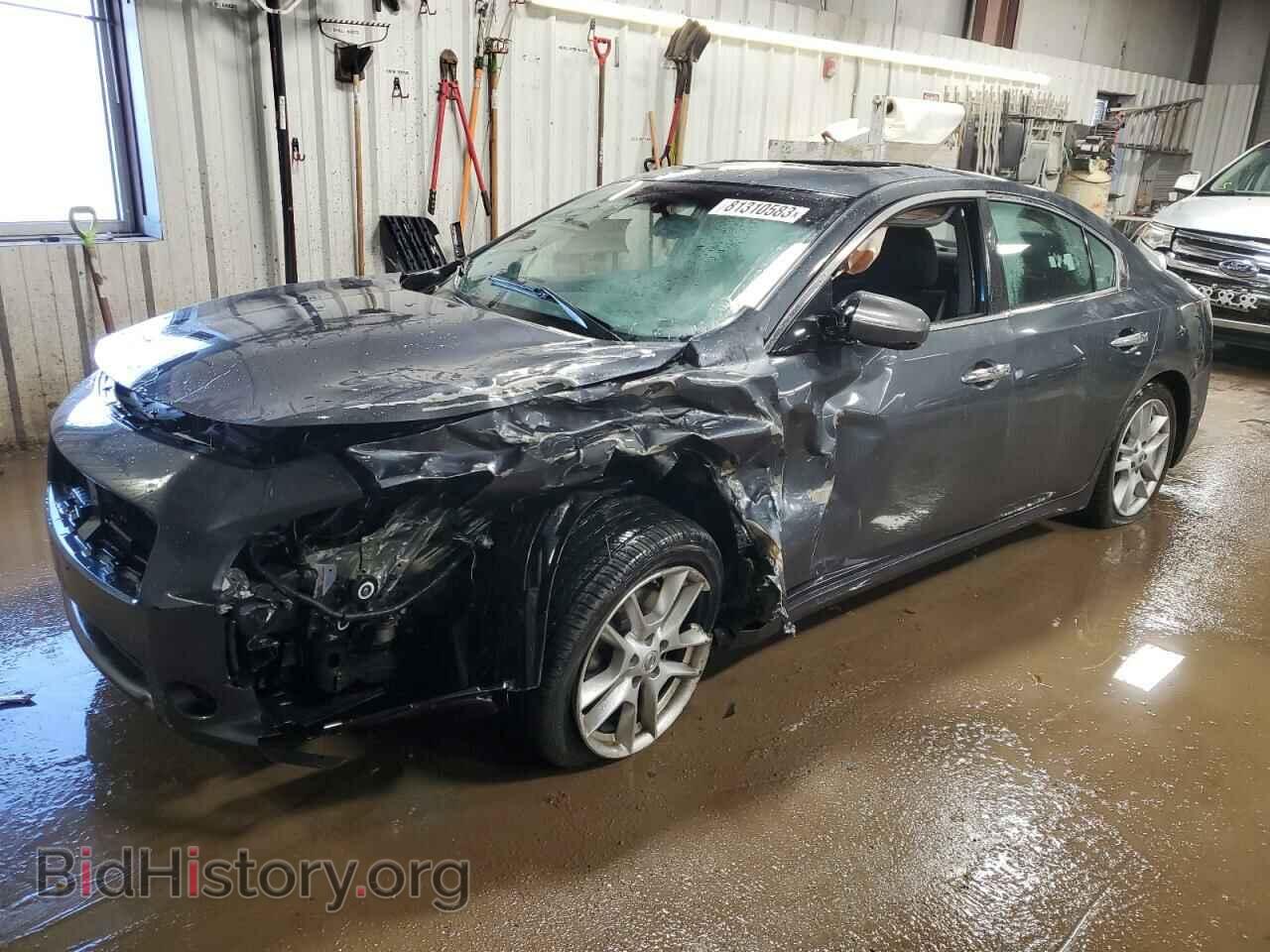 Фотография 1N4AA5AP4DC805620 - NISSAN MAXIMA 2013
