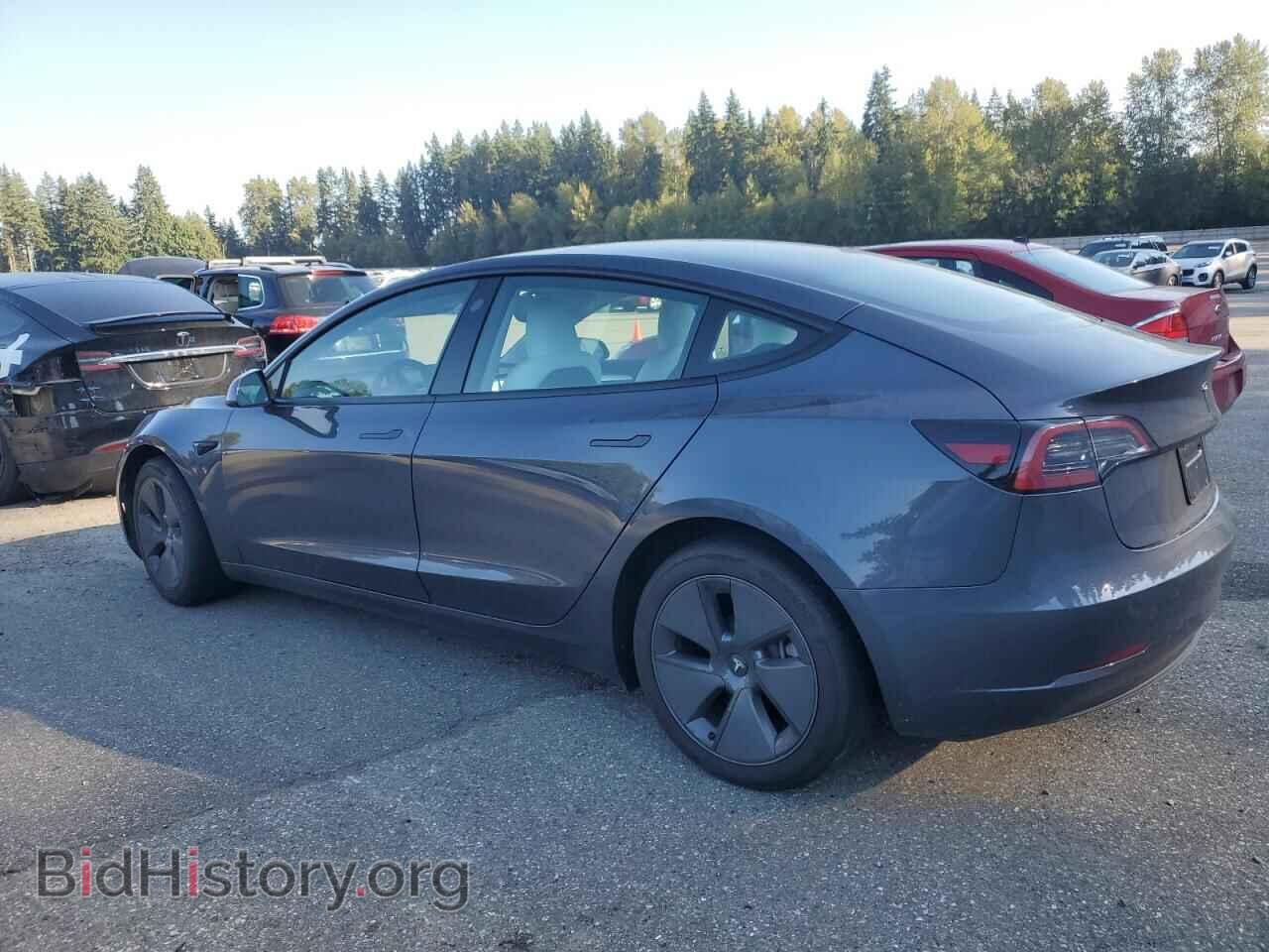 2023 TESLA MODEL 3 - VIN: 5YJ3E1EA1PF624259 - Photo 2