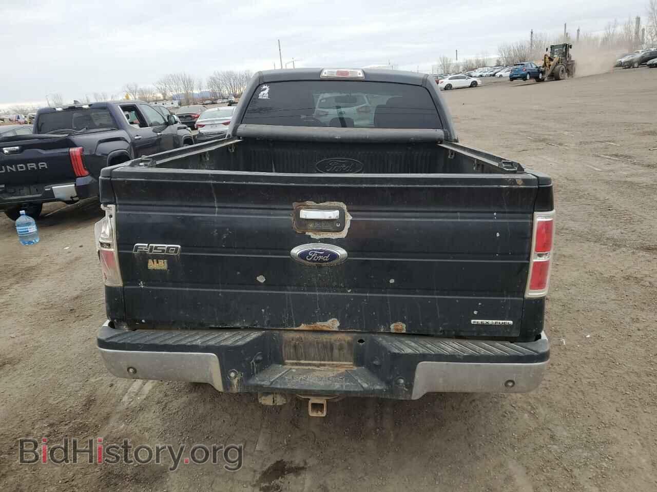 2013 FORD F-150 - VIN: 1FTFW1EF7DFD58243 - Фото 6