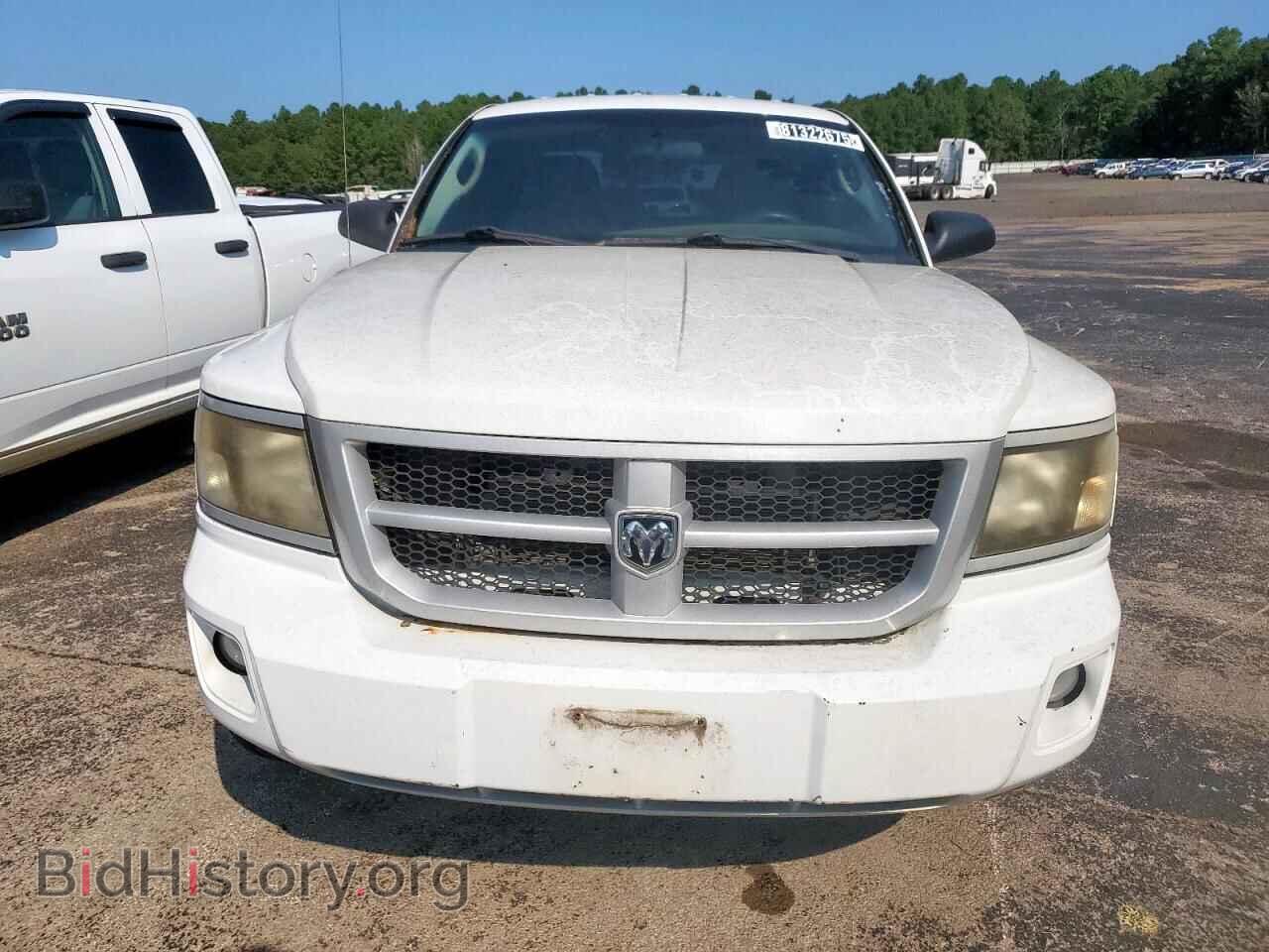 2011 DODGE DAKOTA - VIN: 1D7RE3BK4BS656286 - Фото 5