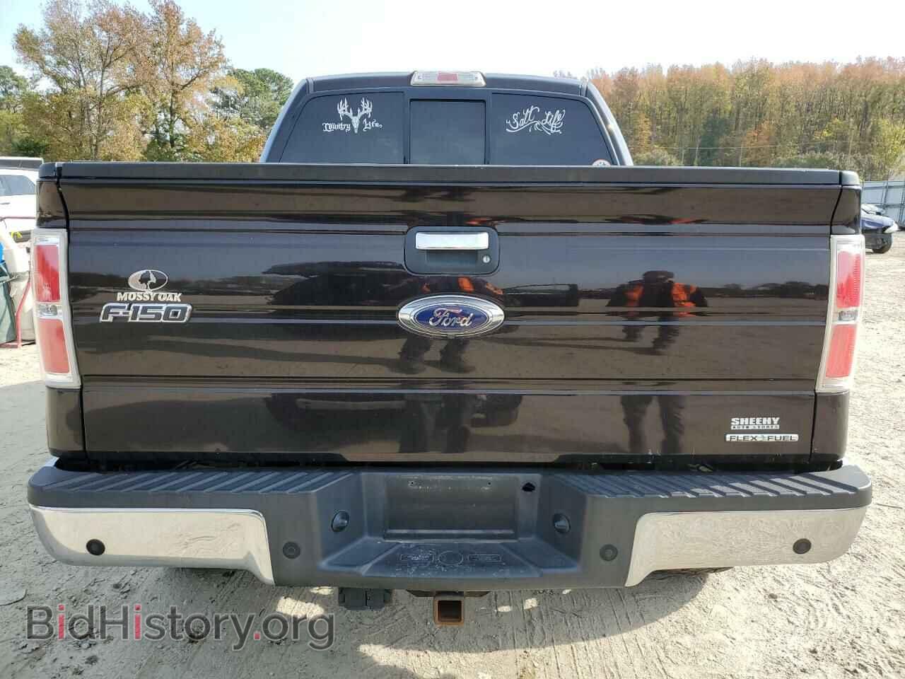 2013 FORD F-150 - VIN: 1FTFW1EF2DFC75657 - Фото 6