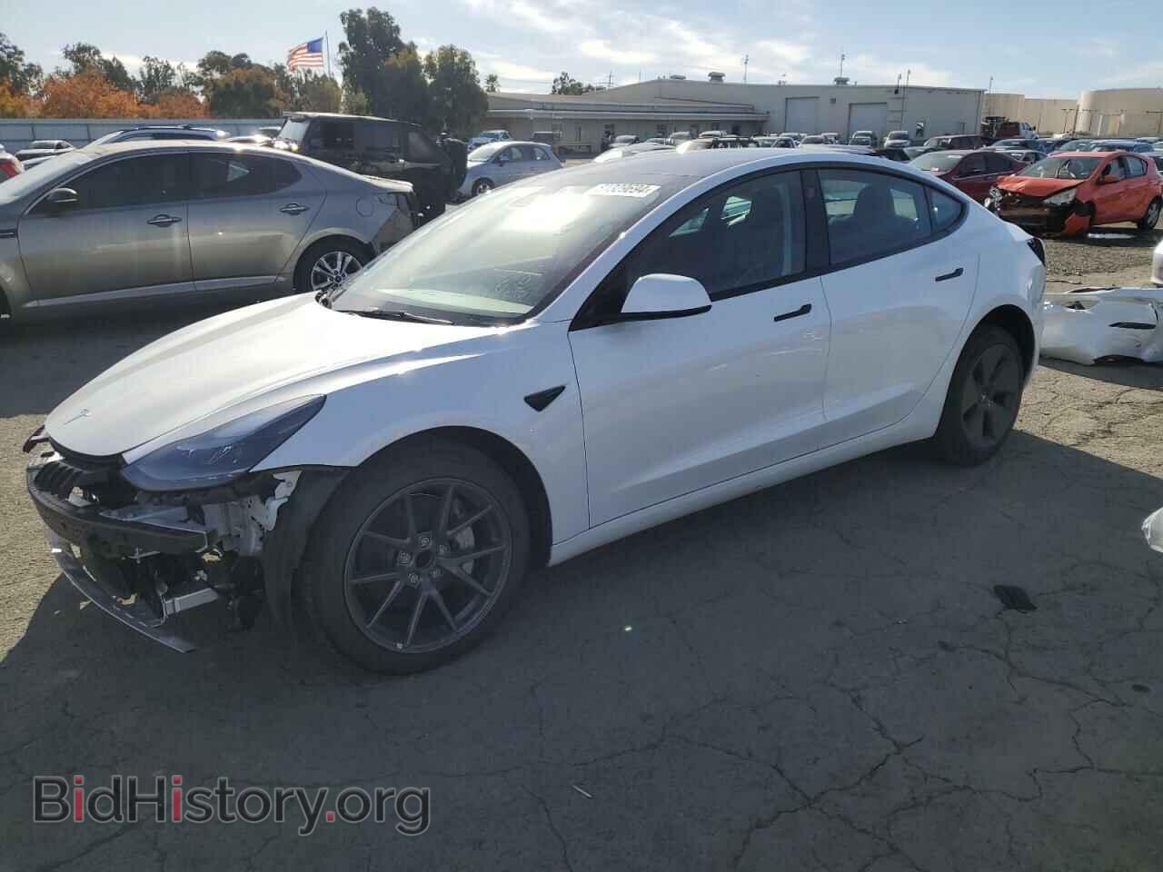 Photo 5YJ3E1EA6PF452973 - TESLA MODEL 3 2023