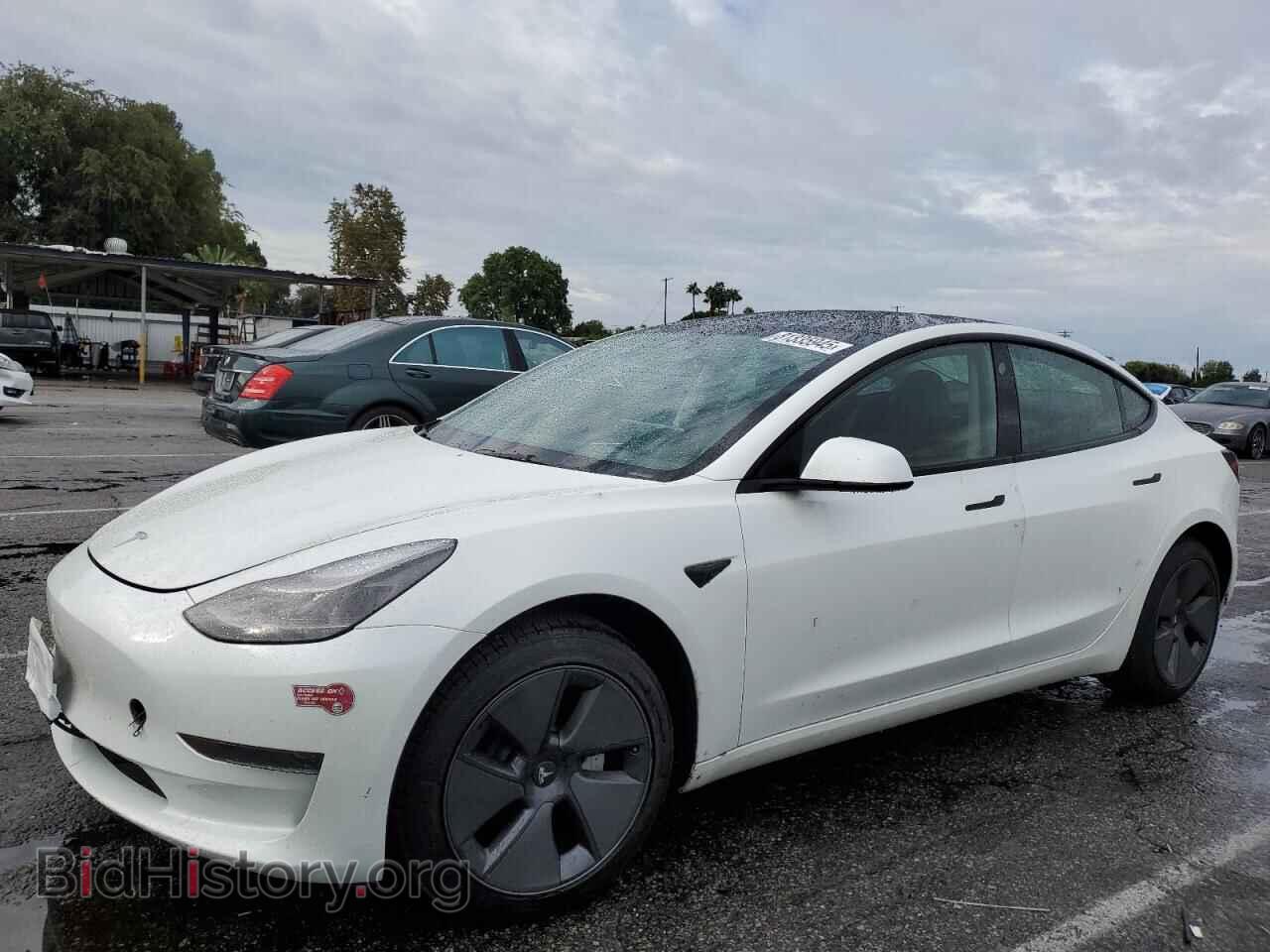 Photo 5YJ3E1EAXPF564532 - TESLA MODEL 3 2023