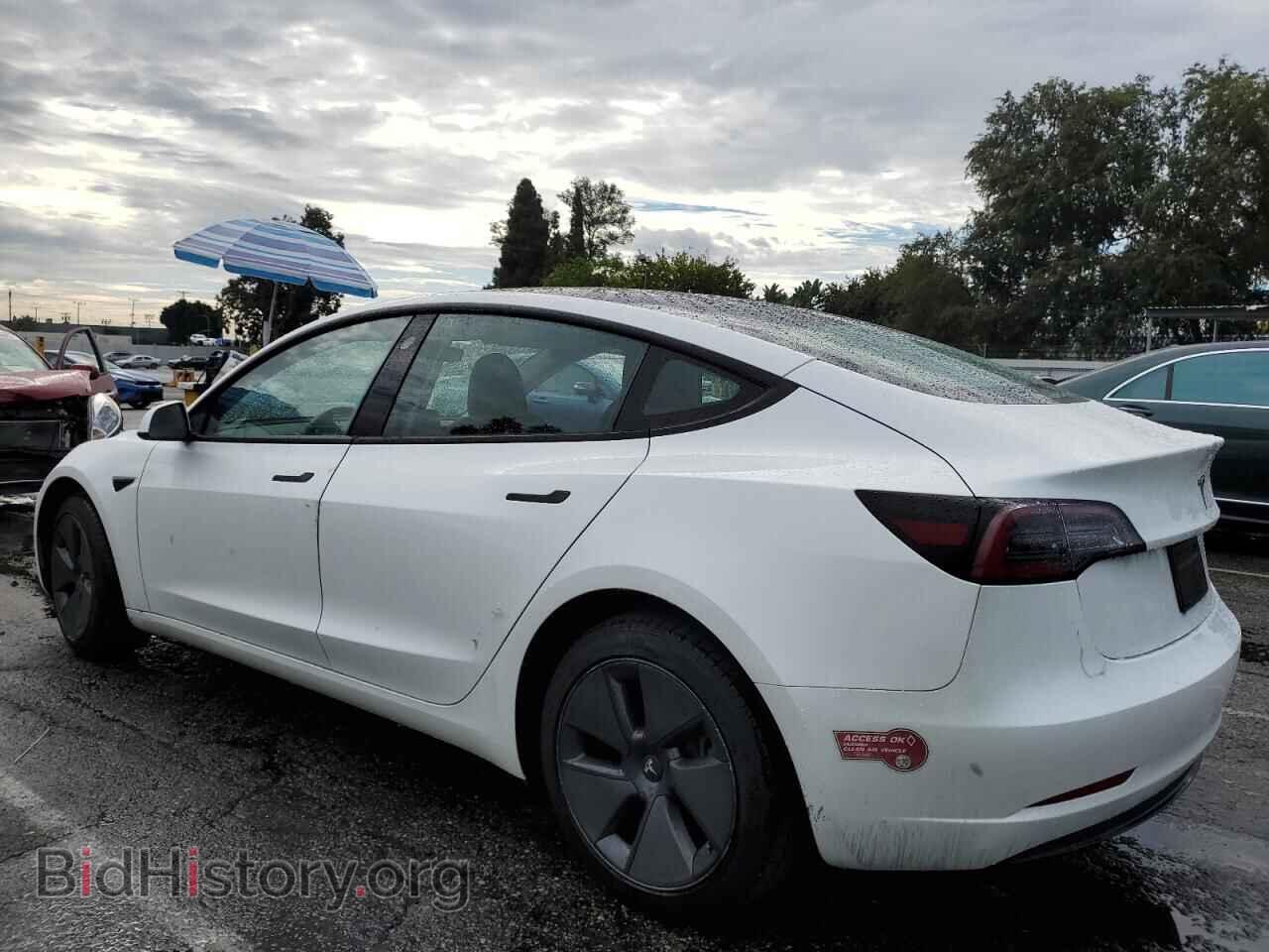 2023 TESLA MODEL 3 - VIN: 5YJ3E1EAXPF564532 - Photo 2