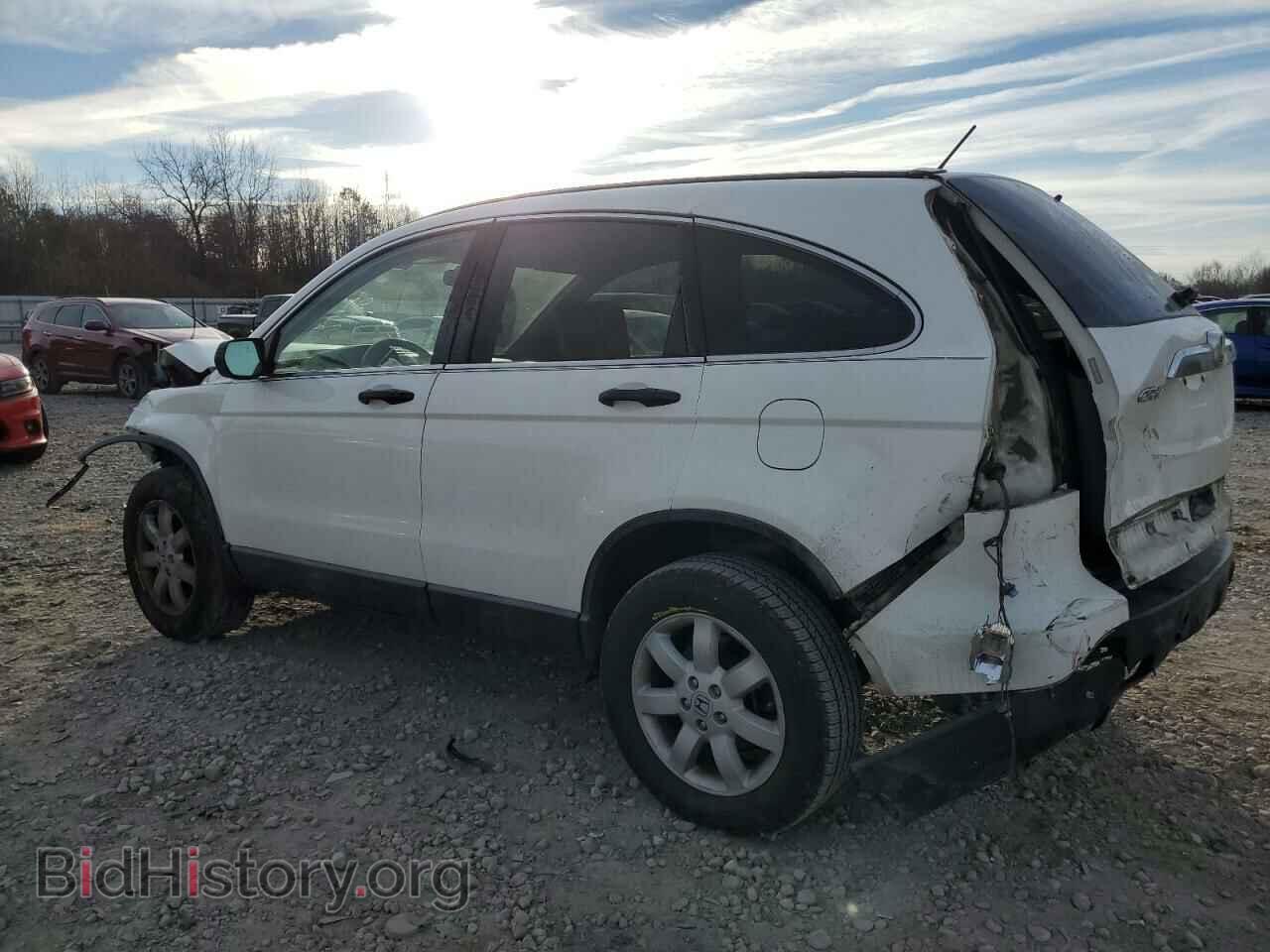 2009 HONDA CRV - VIN: 5J6RE38519L007748 - Фото 2