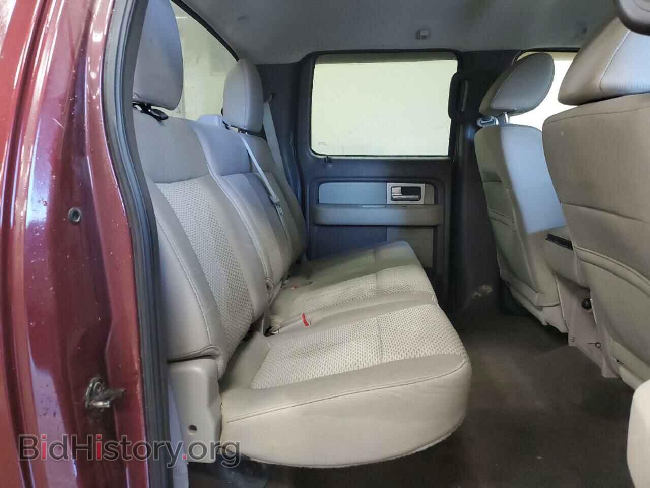 2010 FORD F-150 - VIN: 1FTEW1E80AFA23432 - Фото 10