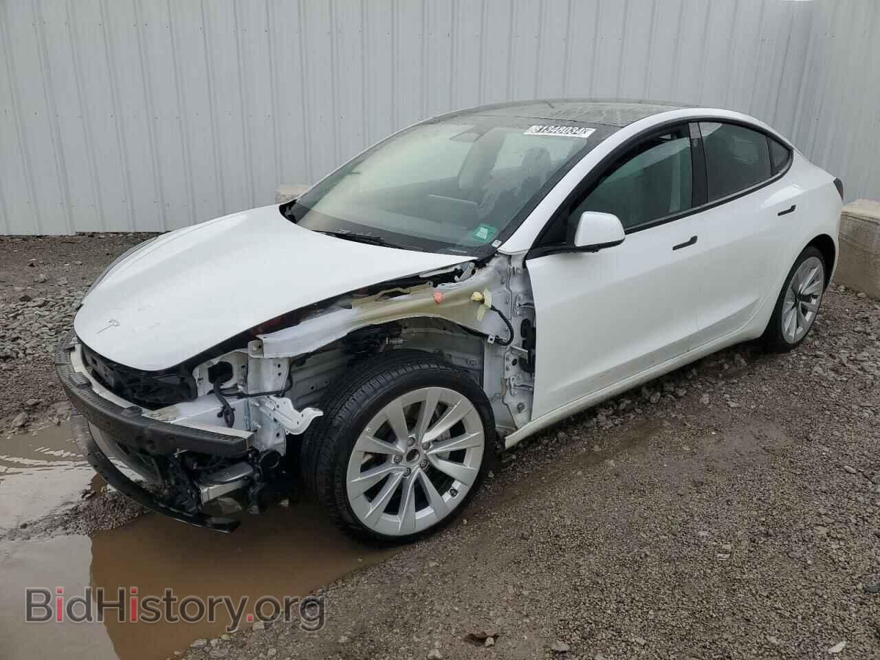 Photo 5YJ3E1EA6PF447918 - TESLA MODEL 3 2023