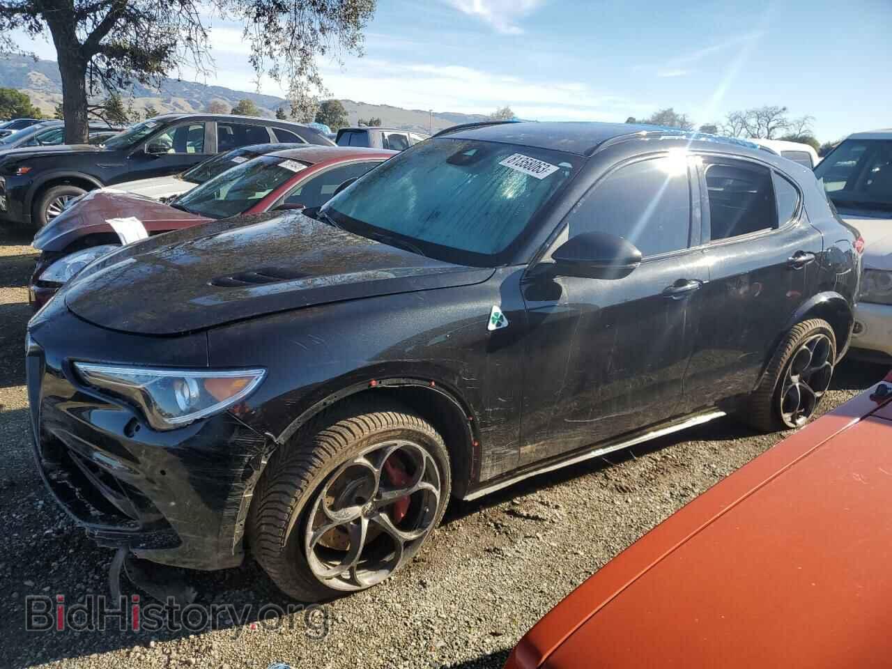 Photo ZASPAKEV8M7D10896 - ALFA ROMEO STELVIO 2021