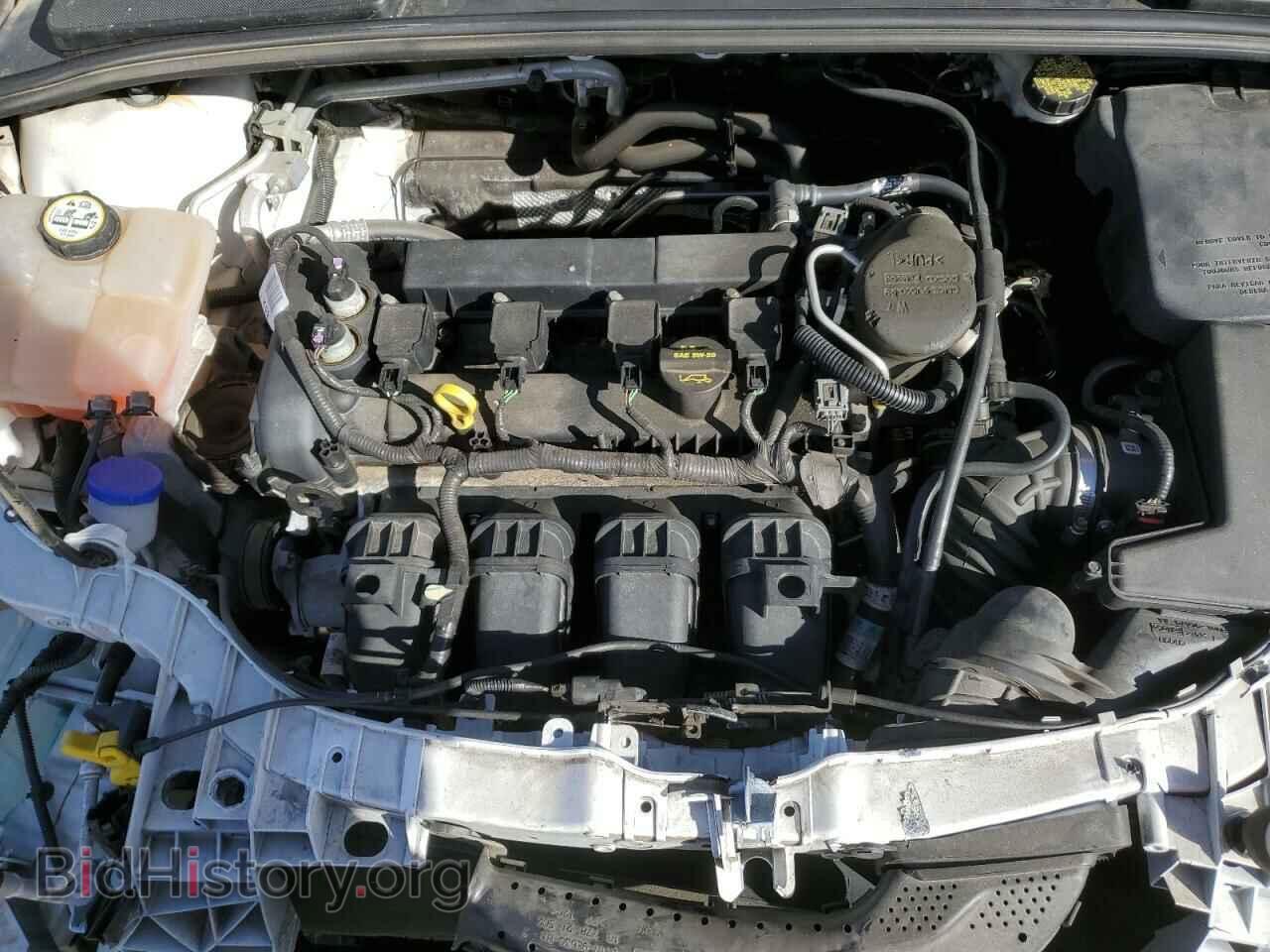 2012 FORD FOCUS - VIN: 1FAHP3F22CL443509 - Фото 11