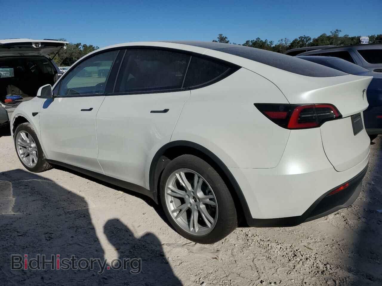 2024 TESLA MODEL Y - VIN: 7SAYGDED2RF095390 - Фото 2