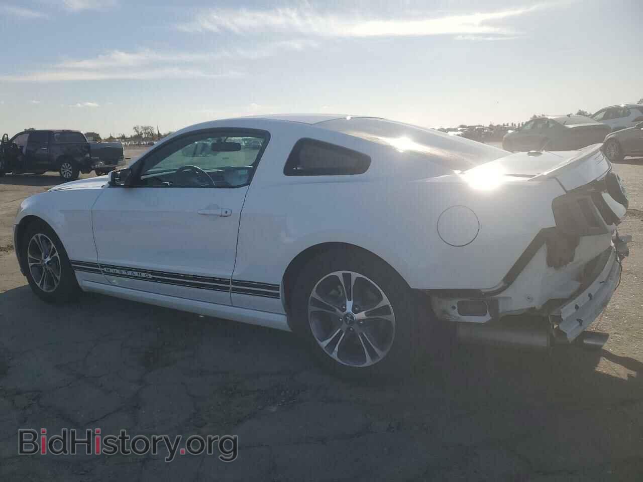 2013 FORD ALL Models - VIN: 1ZVBP8AM5D5242180 - Фото 2
