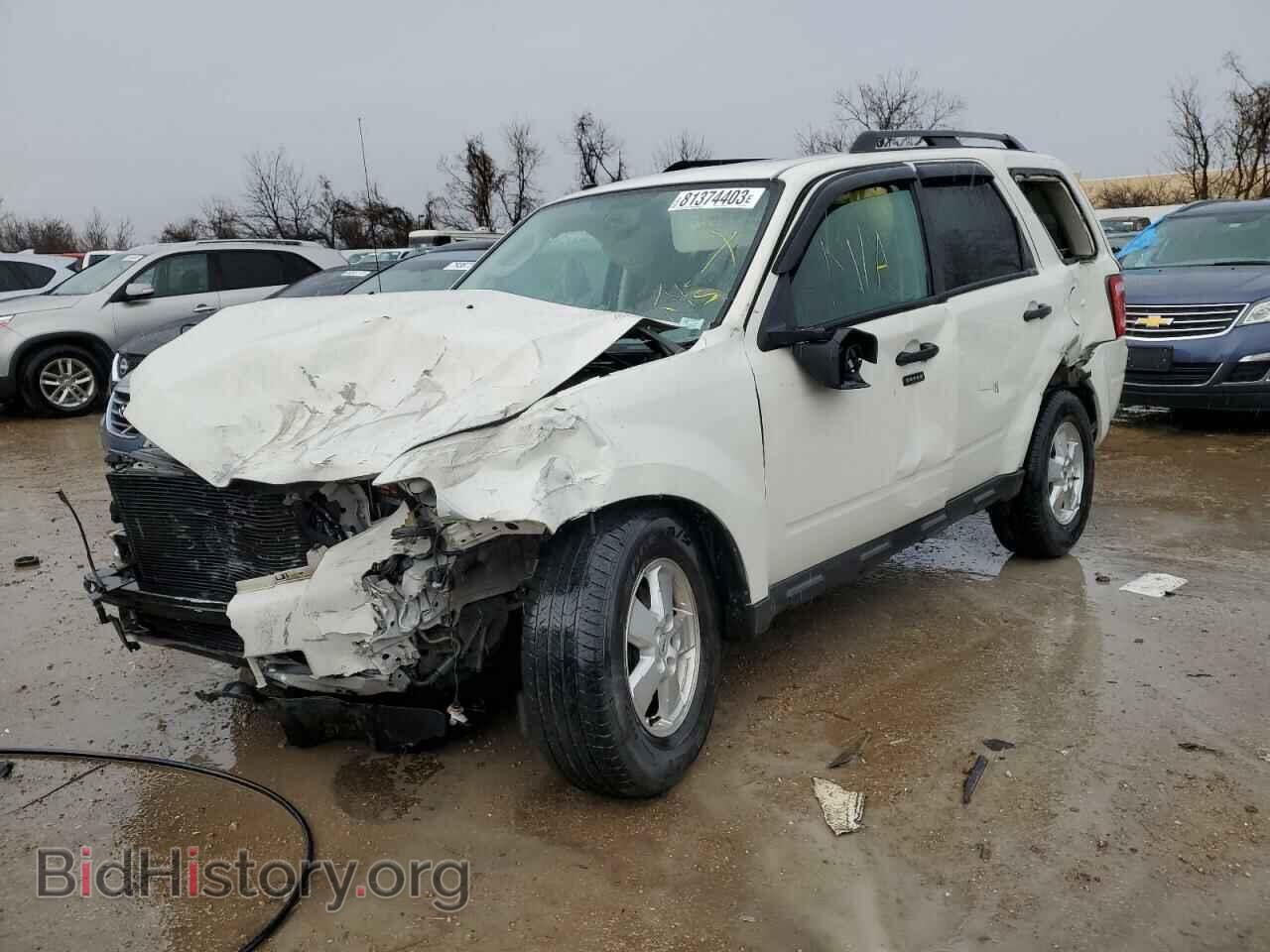 Фотография 1FMCU0DGXAKB07843 - FORD ESCAPE 2010
