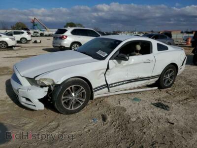 2014 Ford ALL MODELS Mustang, white — VIN 1ZVBP8AM9E5218000, Copart