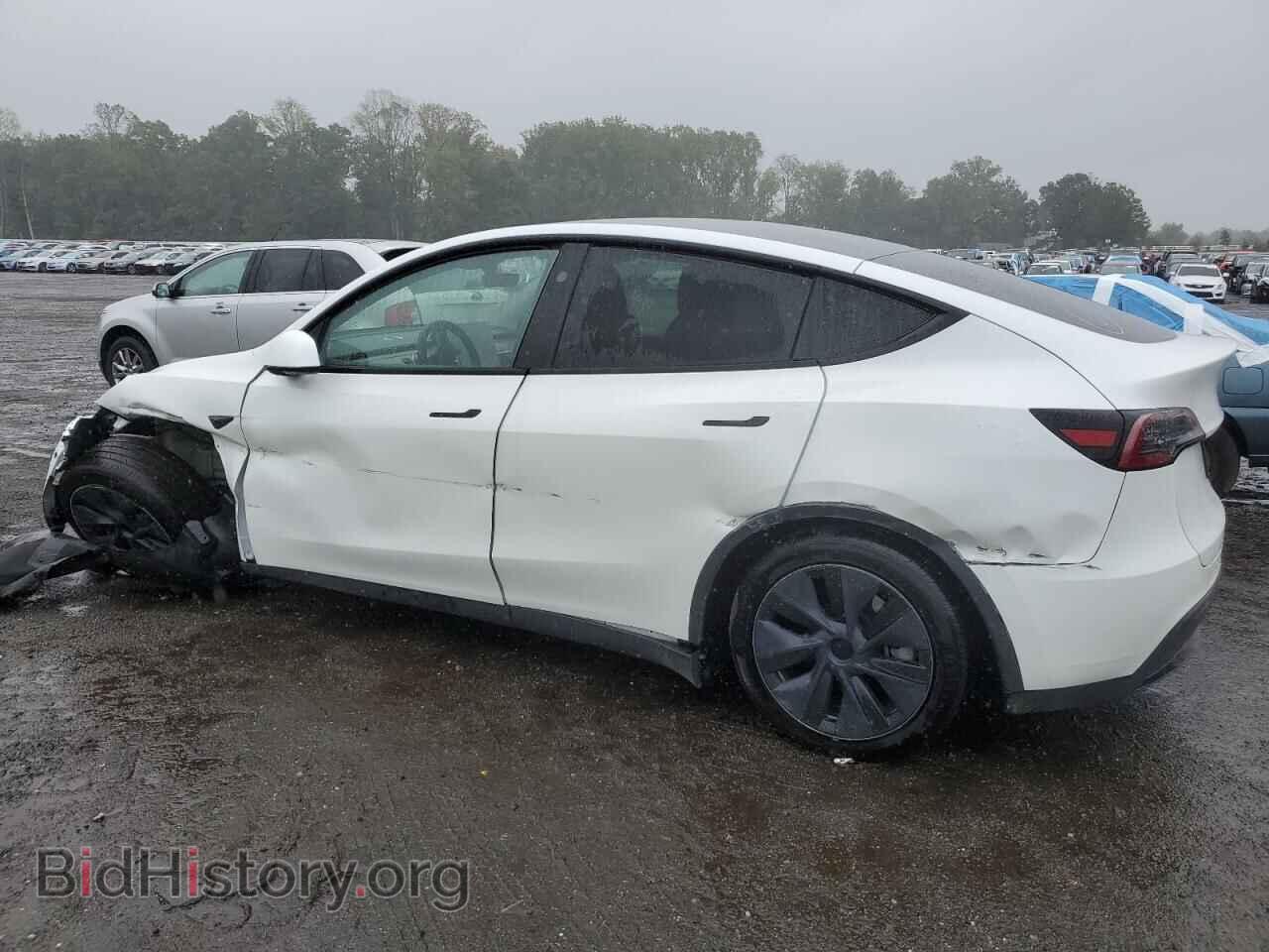 2024 TESLA MODEL Y - VIN: 7SAYGDED2RF155524 - Фото 2
