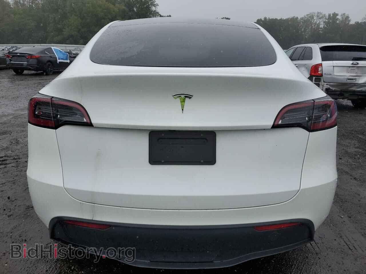 2024 TESLA MODEL Y - VIN: 7SAYGDED2RF155524 - Фото 6