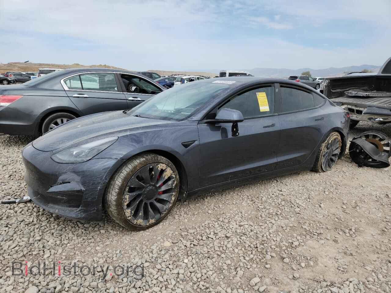 Photo 5YJ3E1EC9MF033979 - TESLA MODEL 3 2021