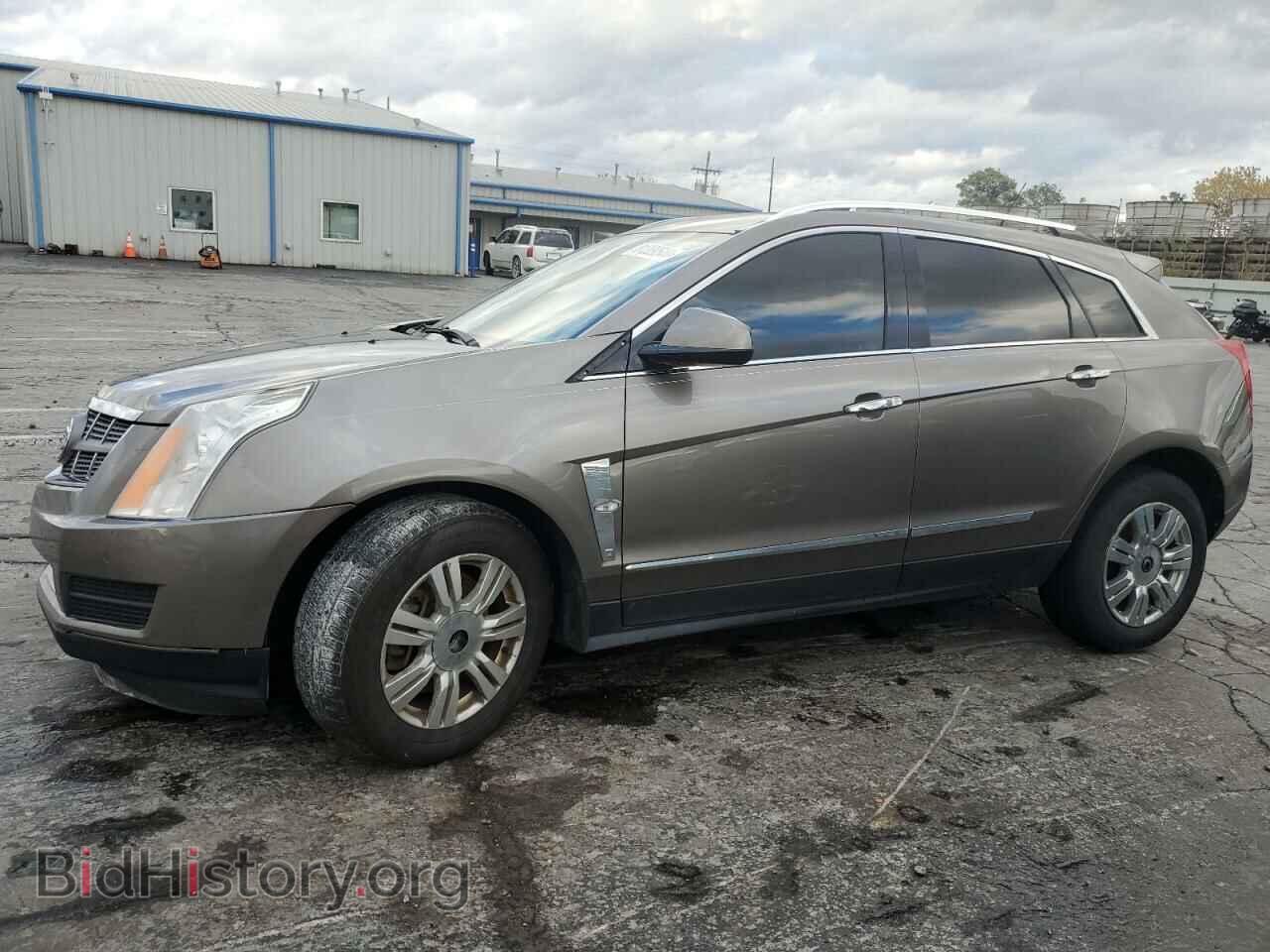 Photo 3GYFNAEY2BS566568 - CADILLAC SRX 2011