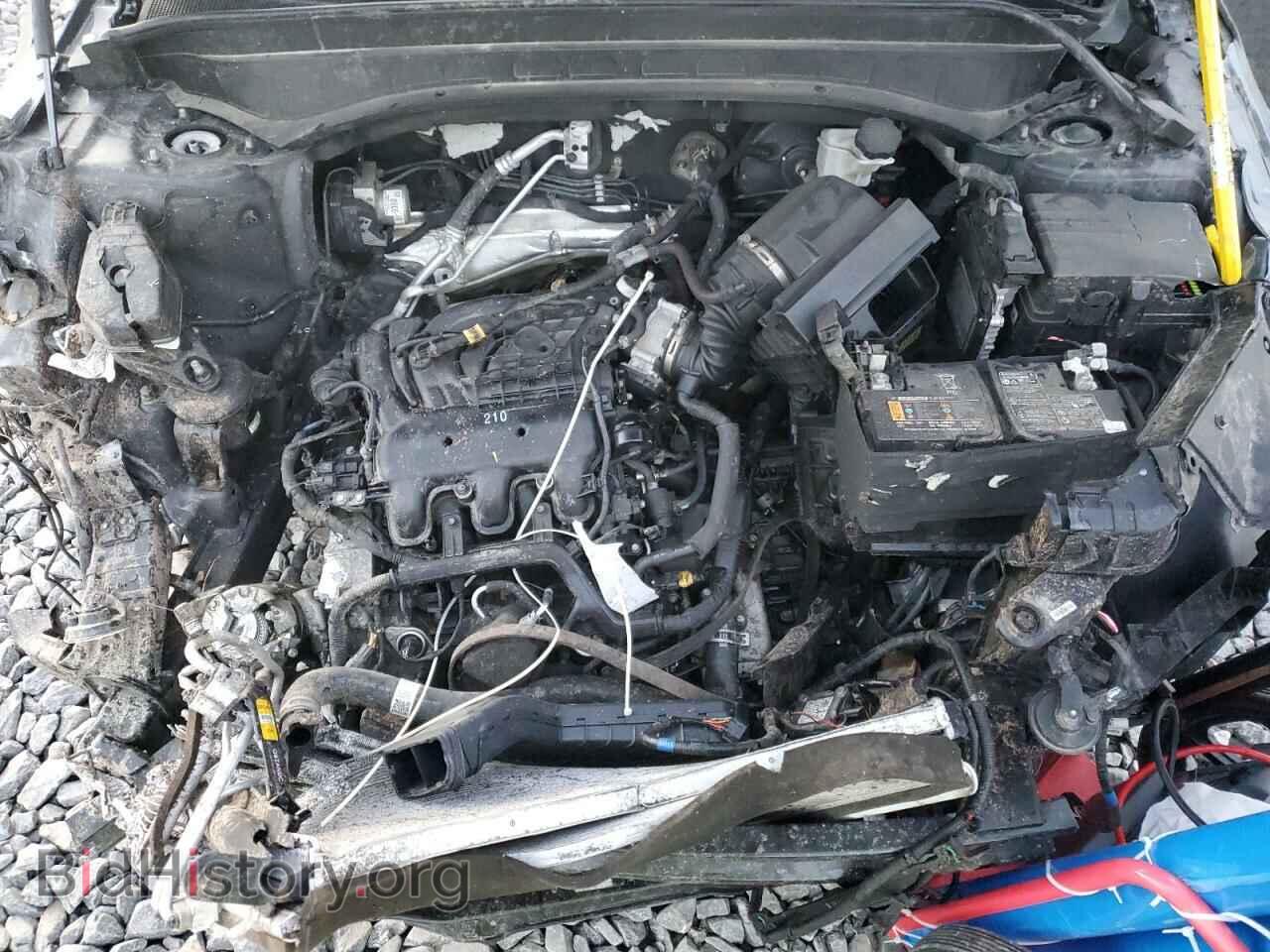 2021 KIA TELLURIDE - VIN: 5XYP3DHC7MG190830 - Фото 14