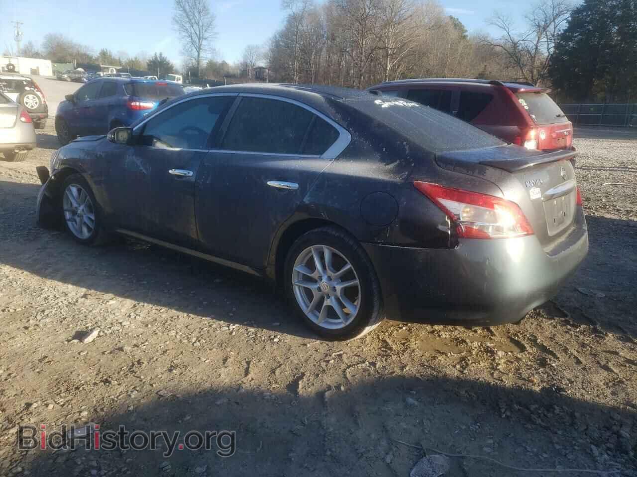 2010 NISSAN MAXIMA - VIN: 1N4AA5AP5AC842994 - Фото 2