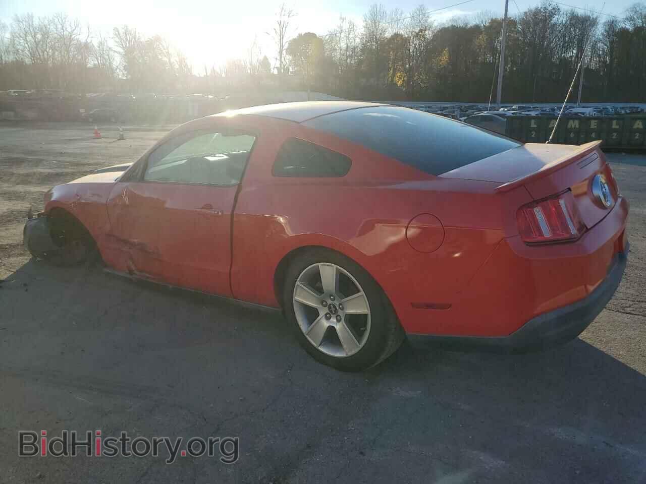 2010 FORD ALL Models - VIN: 1ZVBP8AN7A5164375 - Фото 2