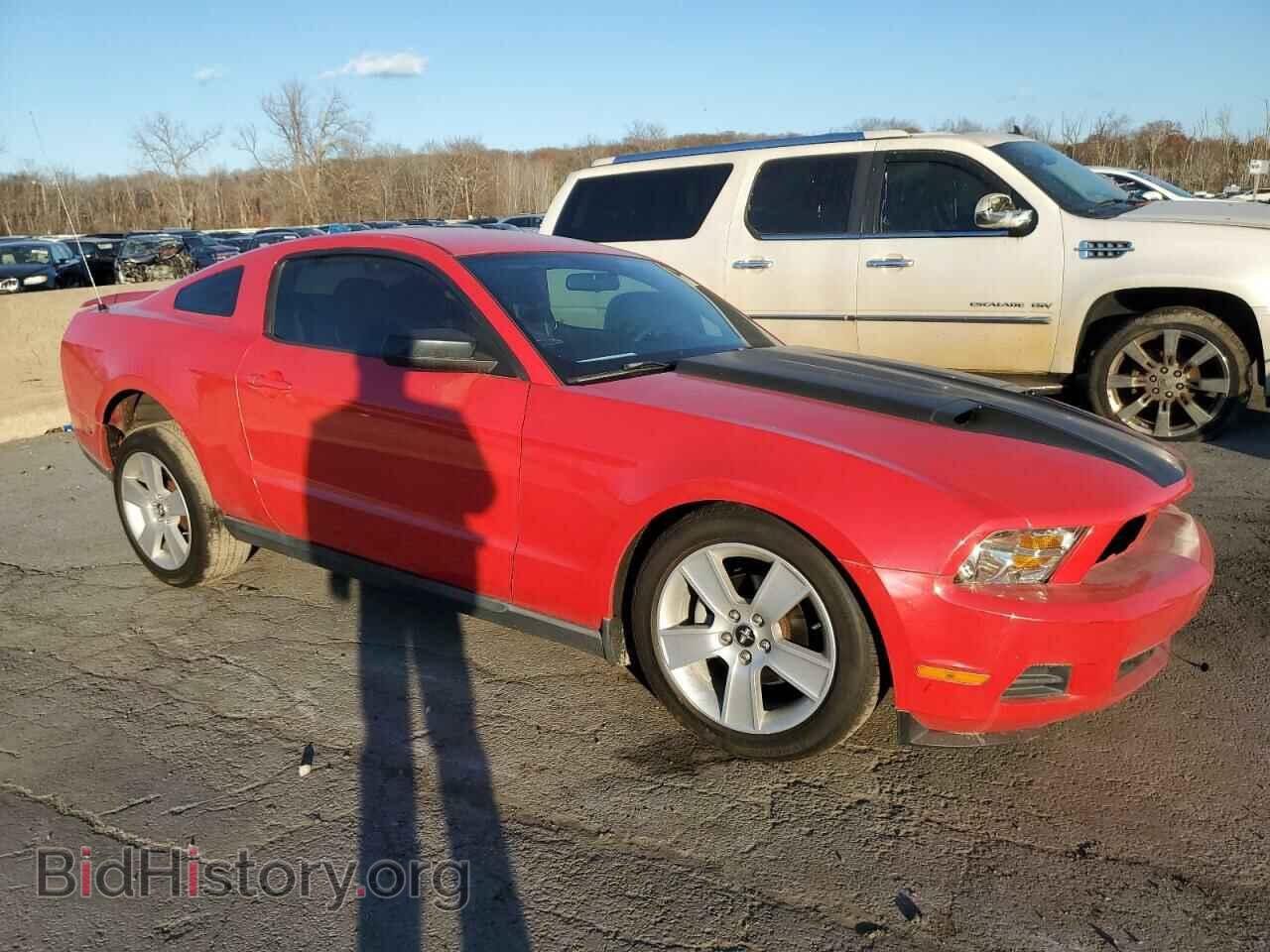 2010 FORD ALL Models - VIN: 1ZVBP8AN7A5164375 - Фото 4