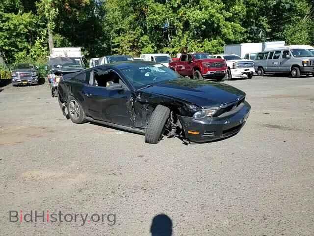 2012 FORD ALL Models - VIN: 1ZVBP8AM4C5273855 - Photo 14