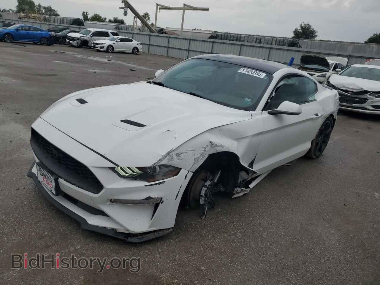 Photo 1FA6P8THXK5143331 - FORD ALL Models 2019