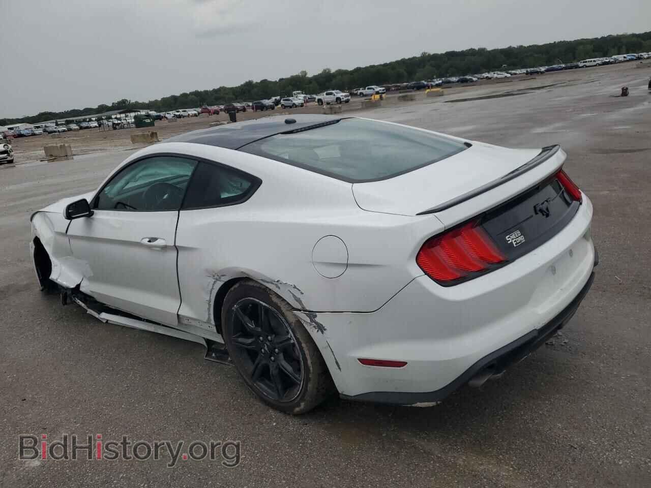 2019 FORD ALL Models - VIN: 1FA6P8THXK5143331 - Photo 2
