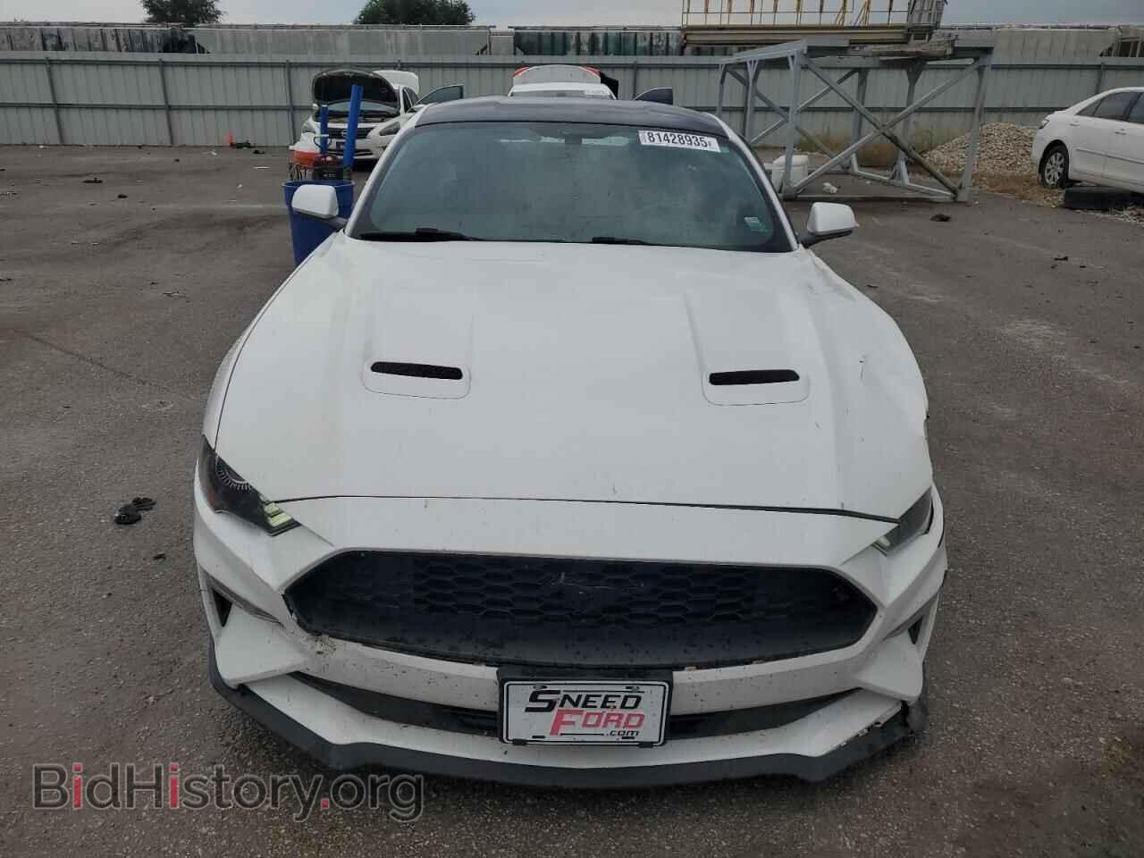 2019 FORD ALL Models - VIN: 1FA6P8THXK5143331 - Photo 5