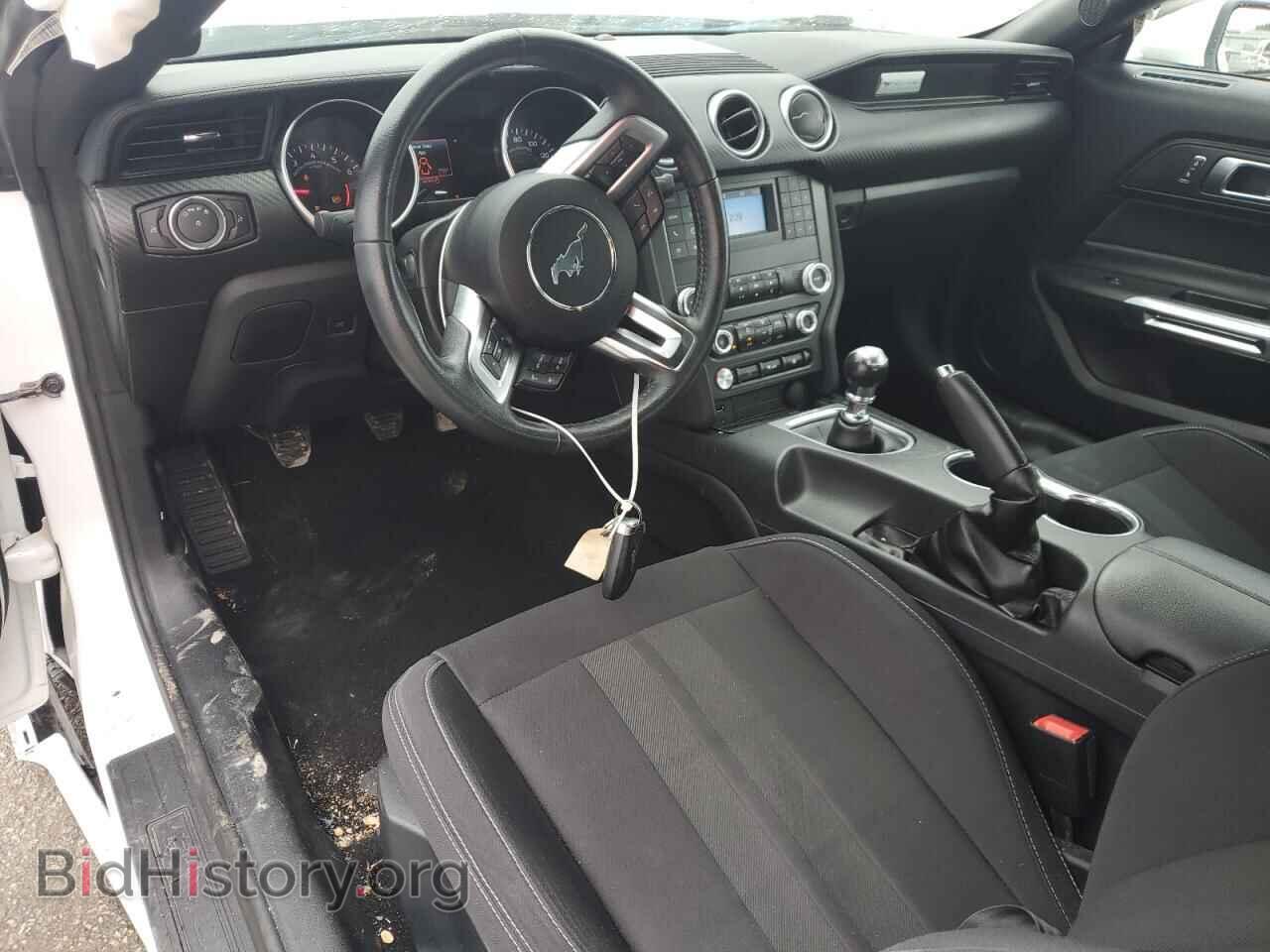 2019 FORD ALL Models - VIN: 1FA6P8THXK5143331 - Photo 8