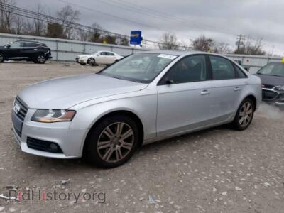 2010 Audi A4 Premium, серебристый — VIN WAUDFAFL3AN036385, Copart