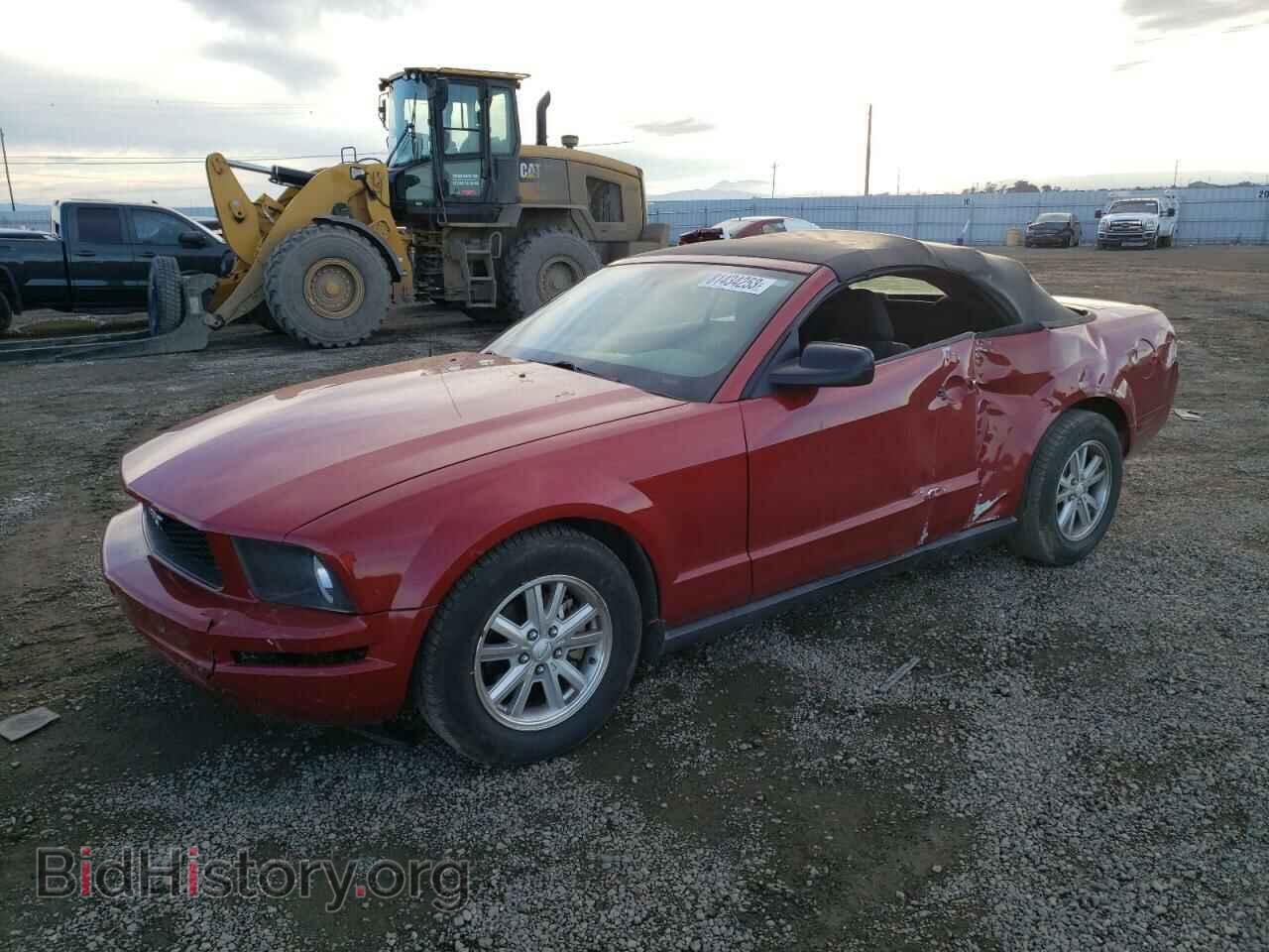 Фотография 1ZVHT84N485155242 - FORD ALL Models 2008