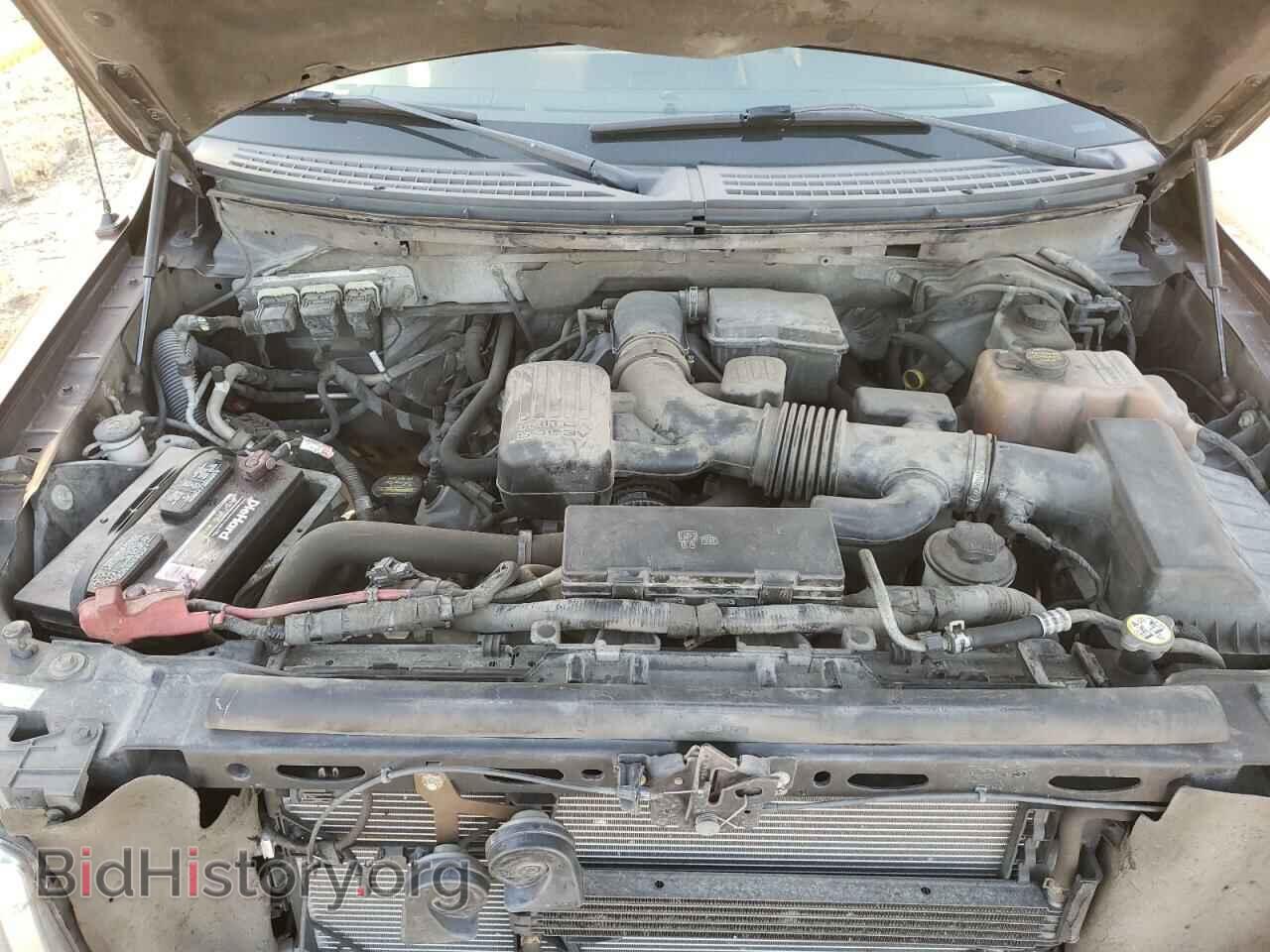 2010 FORD All Models - VIN: 1FTFW1EV2AFA78698 - Фото 11